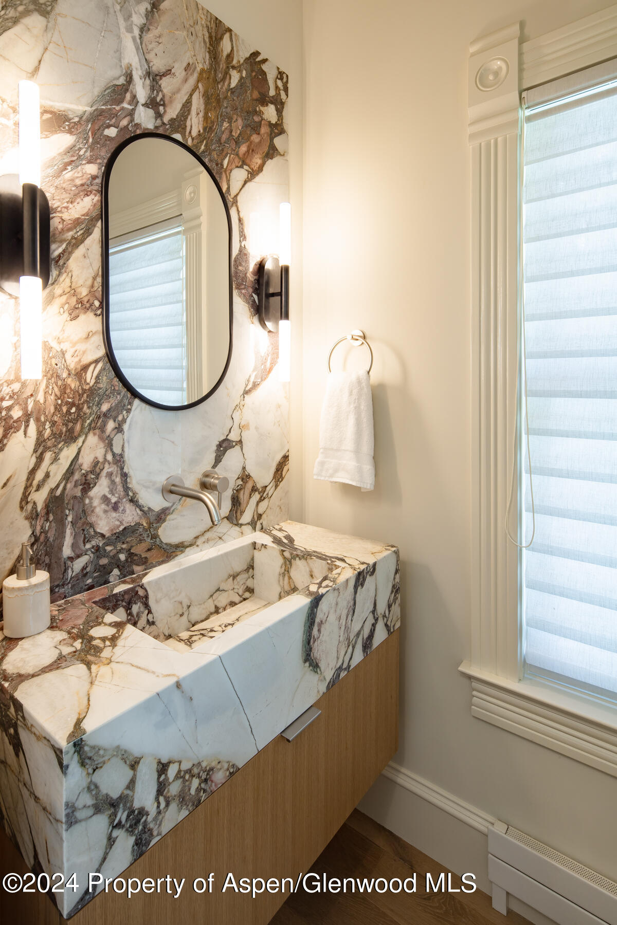 214 W Bleeker Street Aspen CO 81611