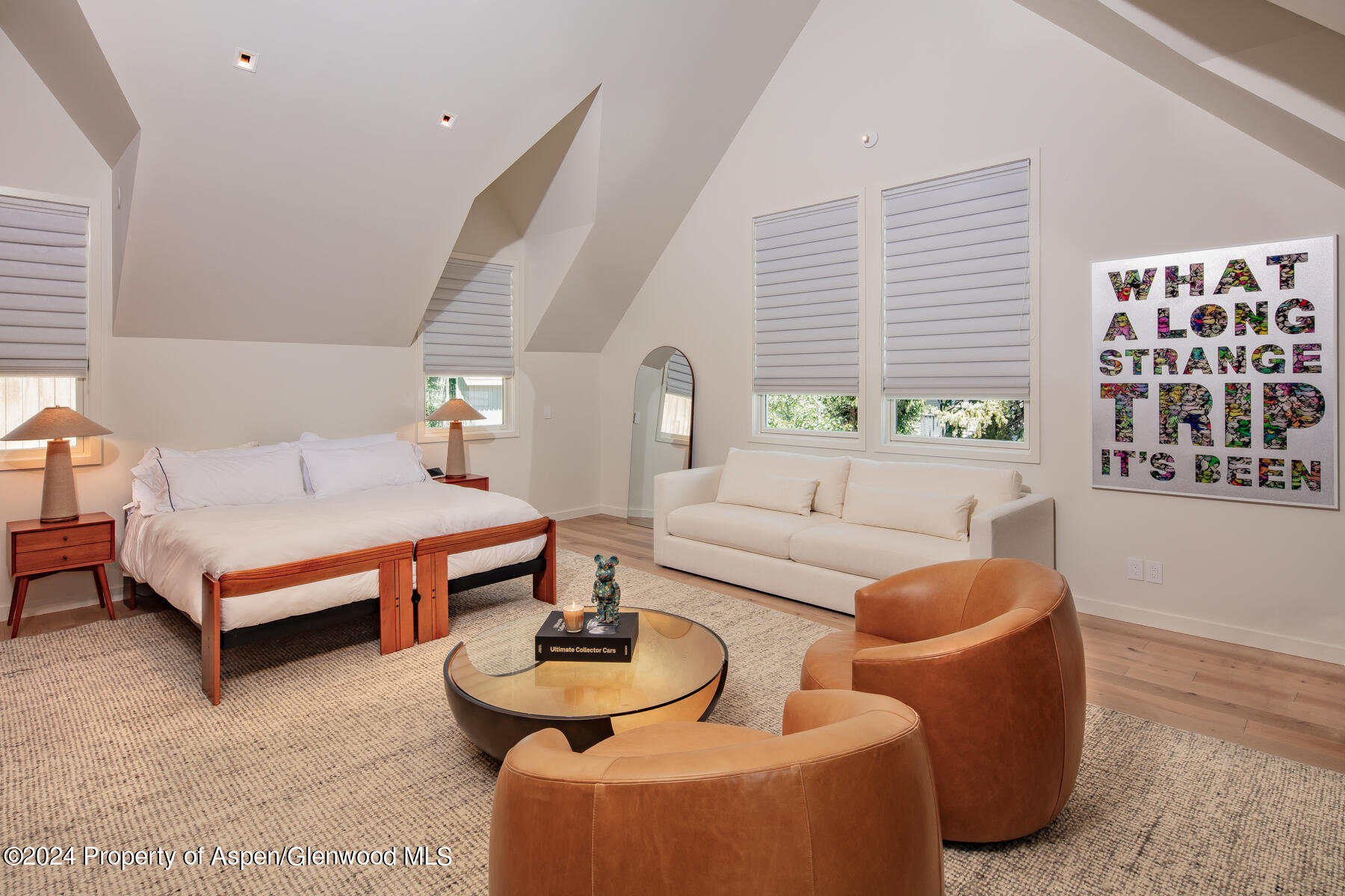 214 W Bleeker Street Aspen CO 81611