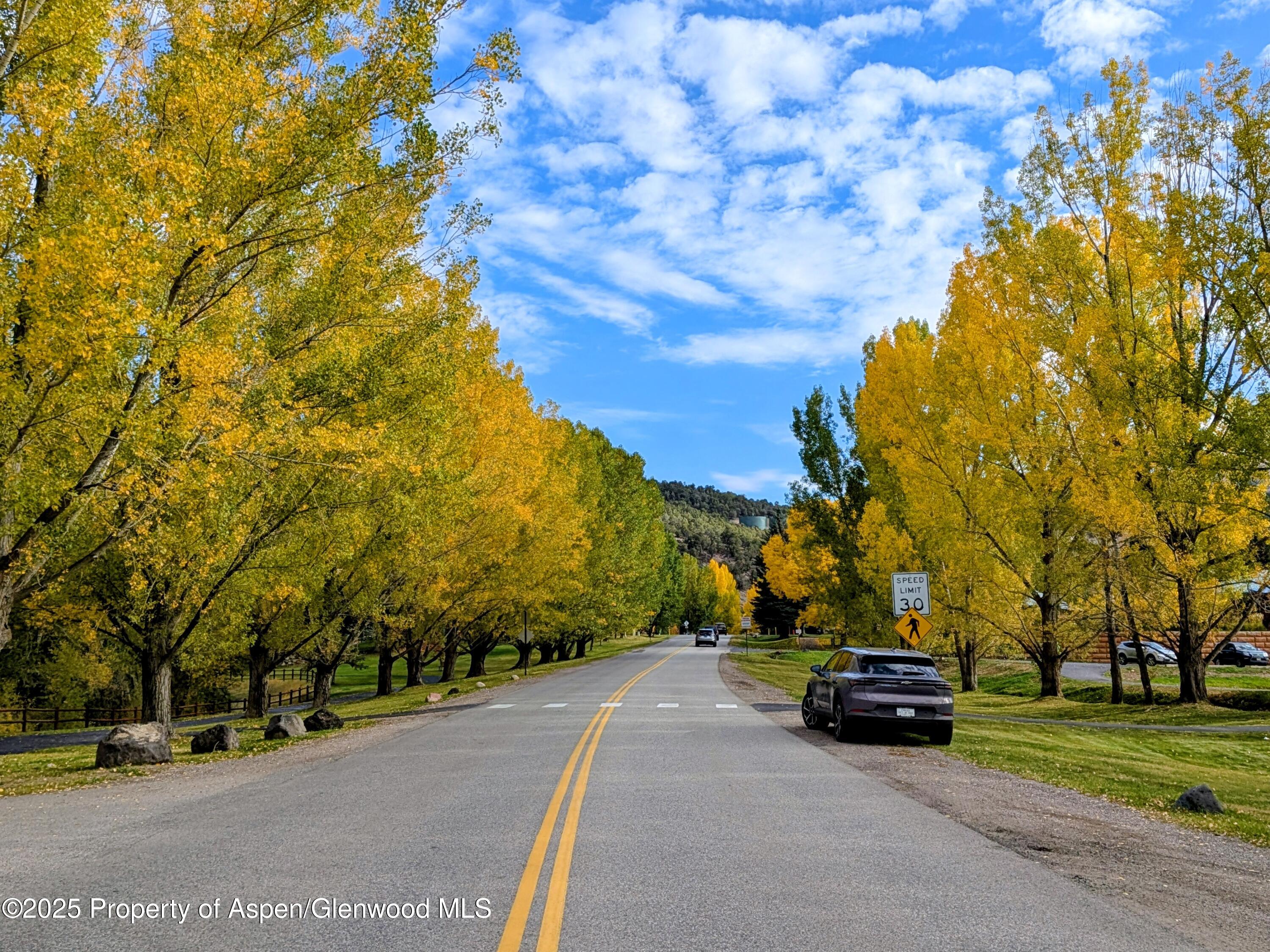 298 Black Bear Trail Carbondale CO 81623