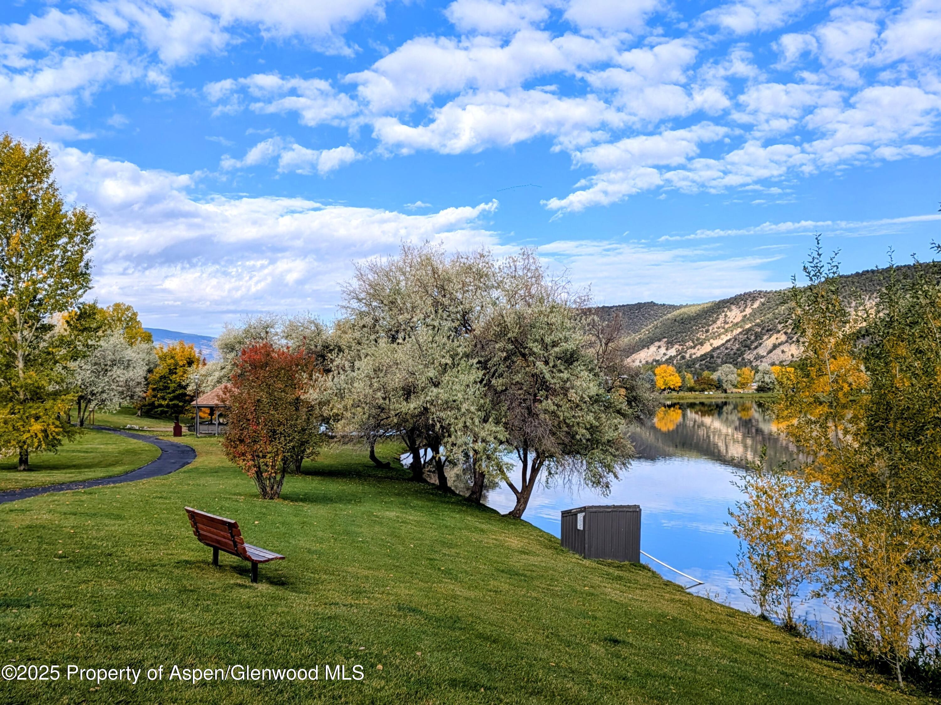 298 Black Bear Trail Carbondale CO 81623