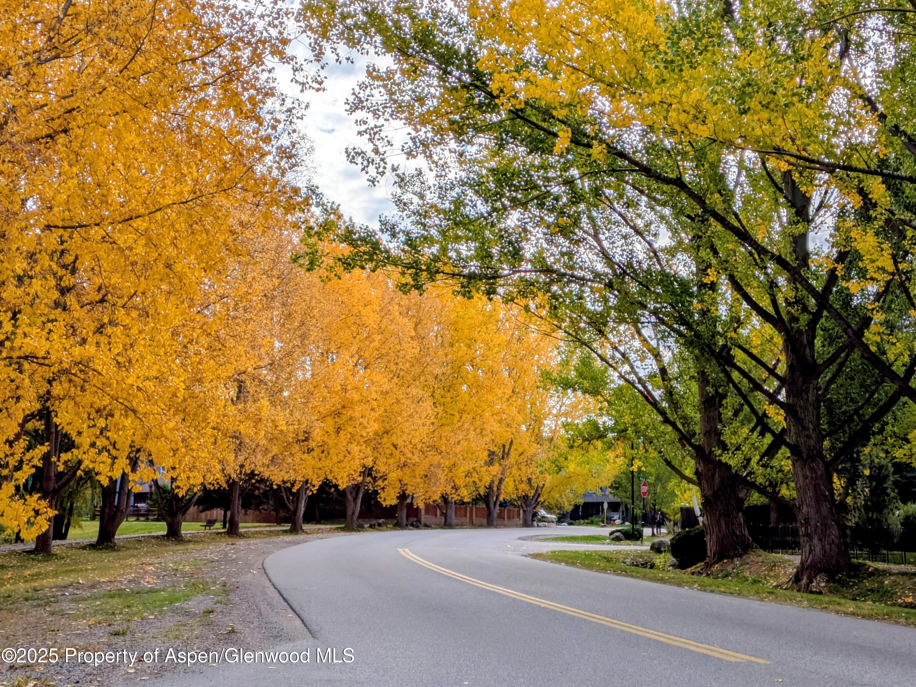 298 Black Bear Trail Carbondale CO 81623