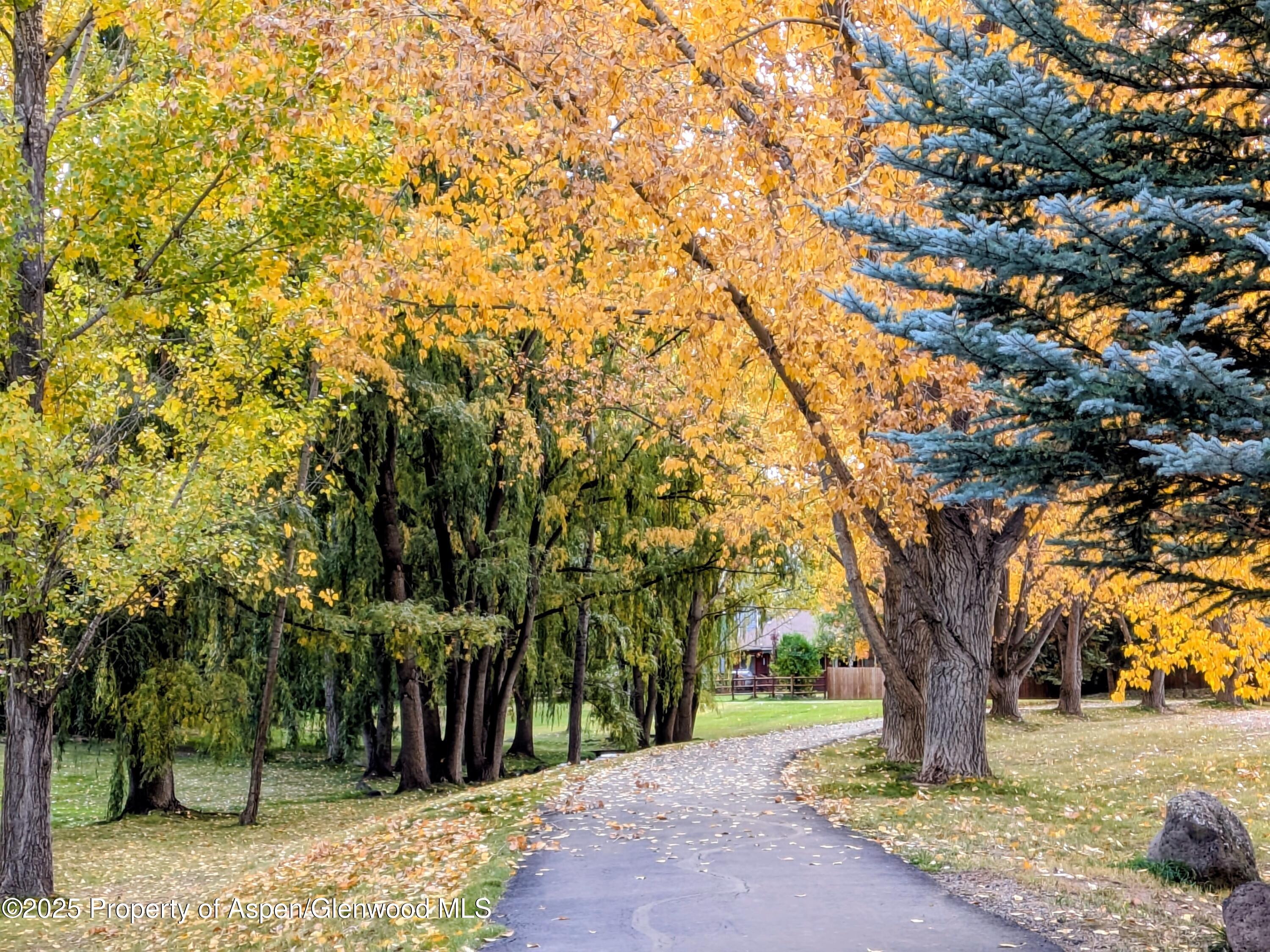 298 Black Bear Trail Carbondale CO 81623