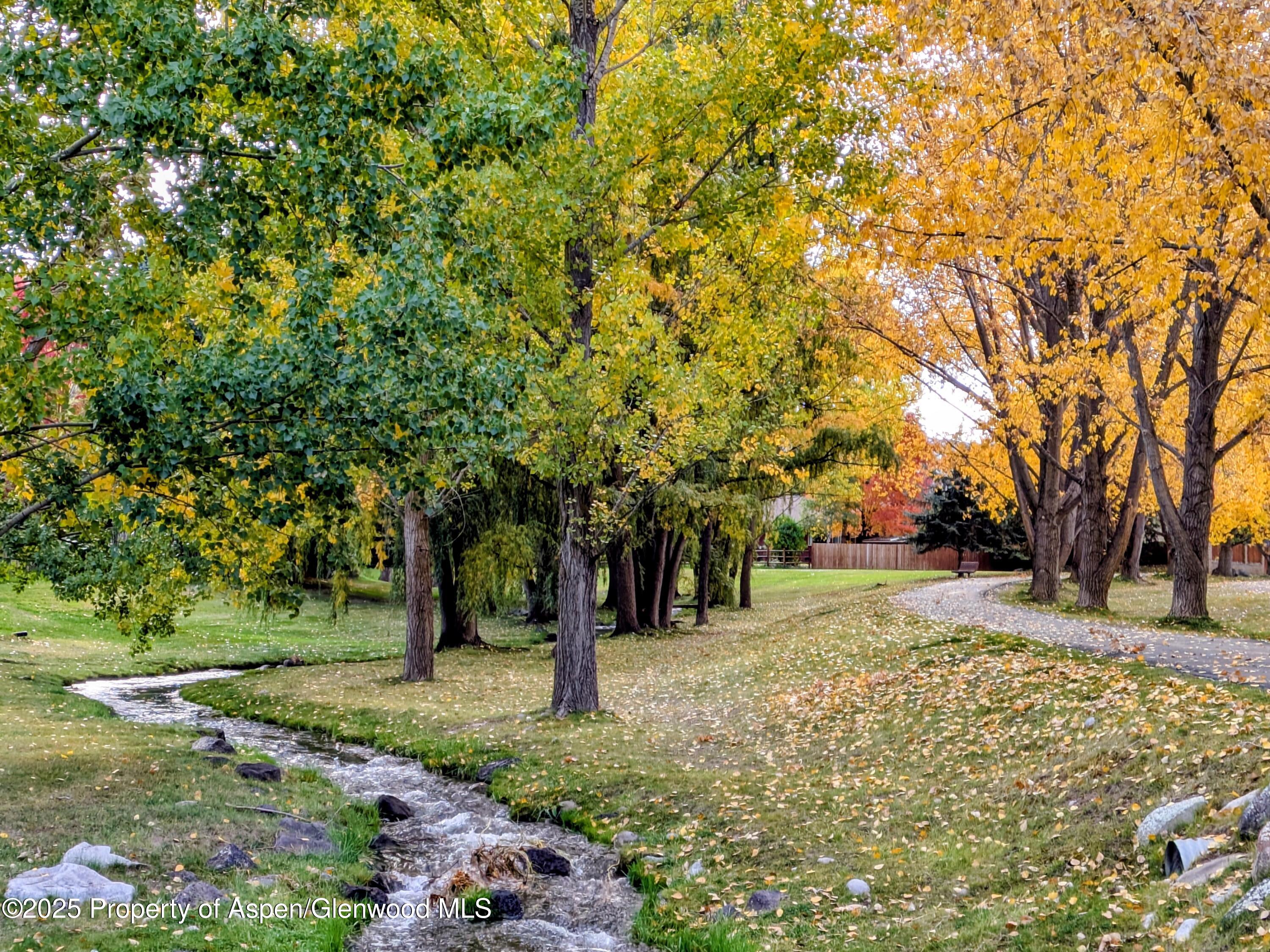 298 Black Bear Trail Carbondale CO 81623