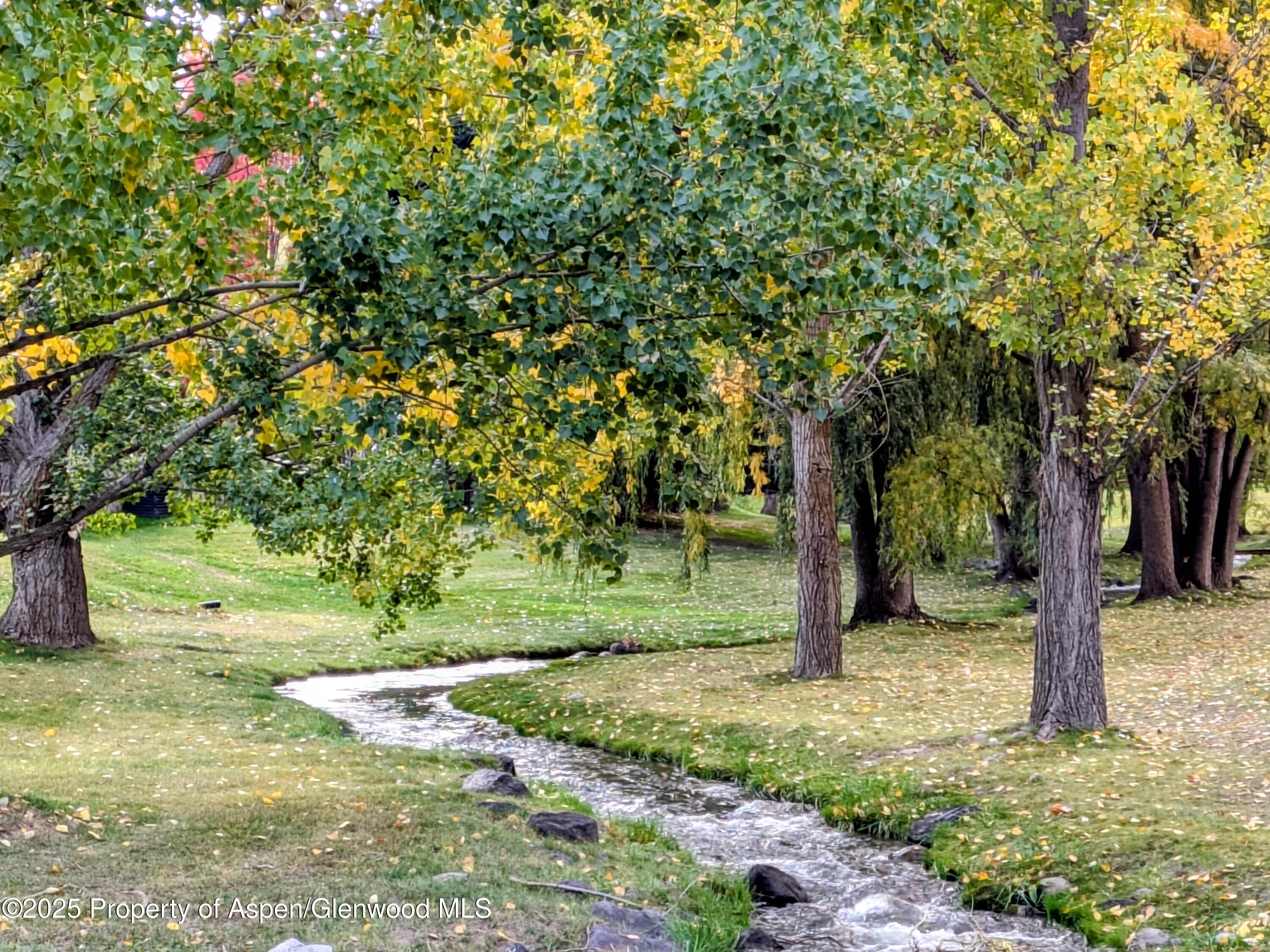 298 Black Bear Trail Carbondale CO 81623