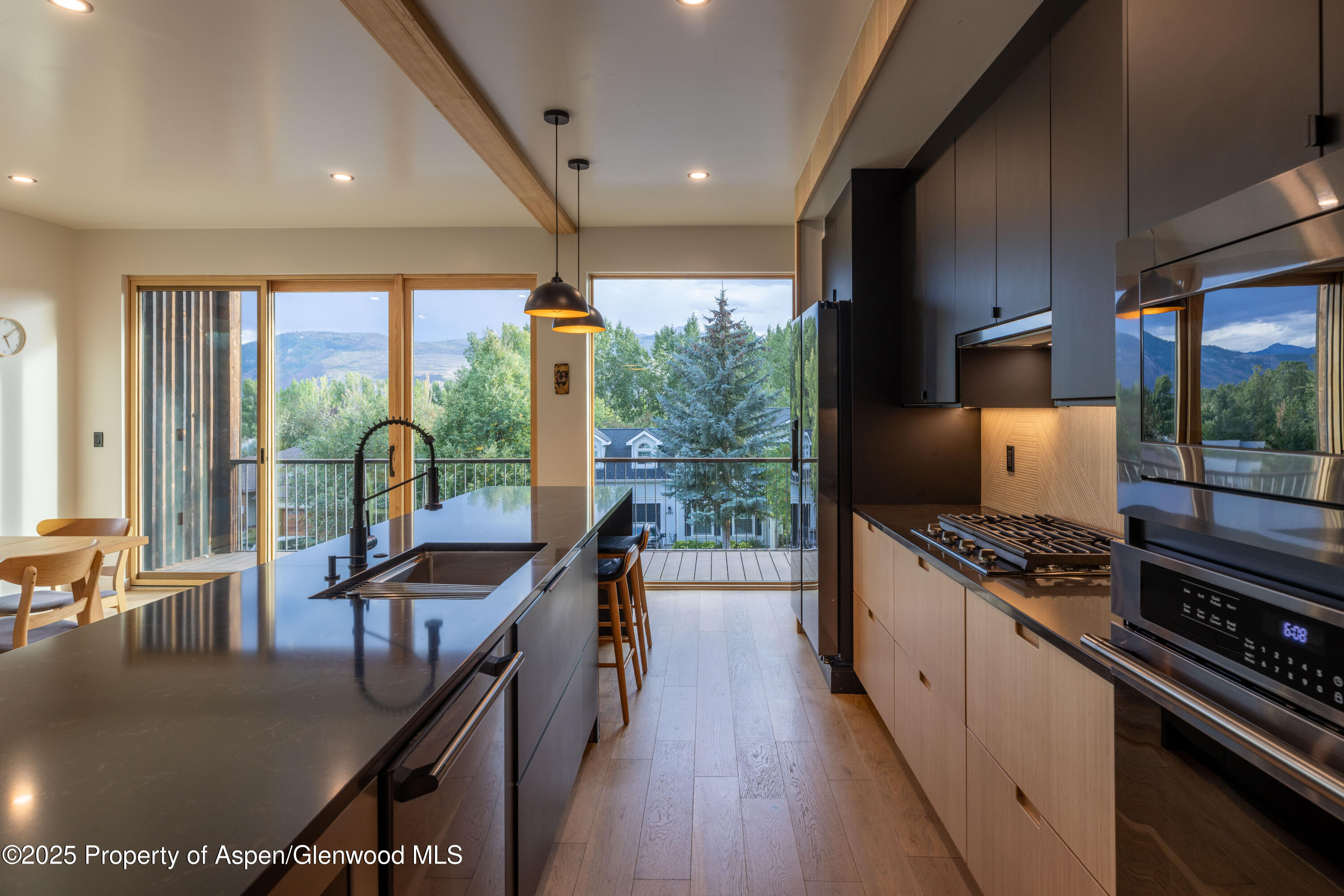 298 Black Bear Trail Carbondale CO 81623