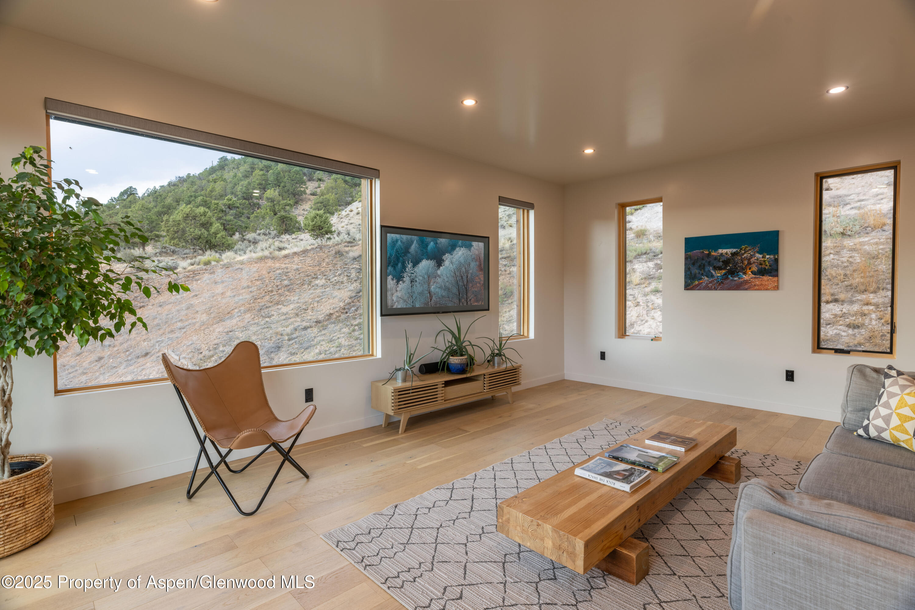 298 Black Bear Trail Carbondale CO 81623