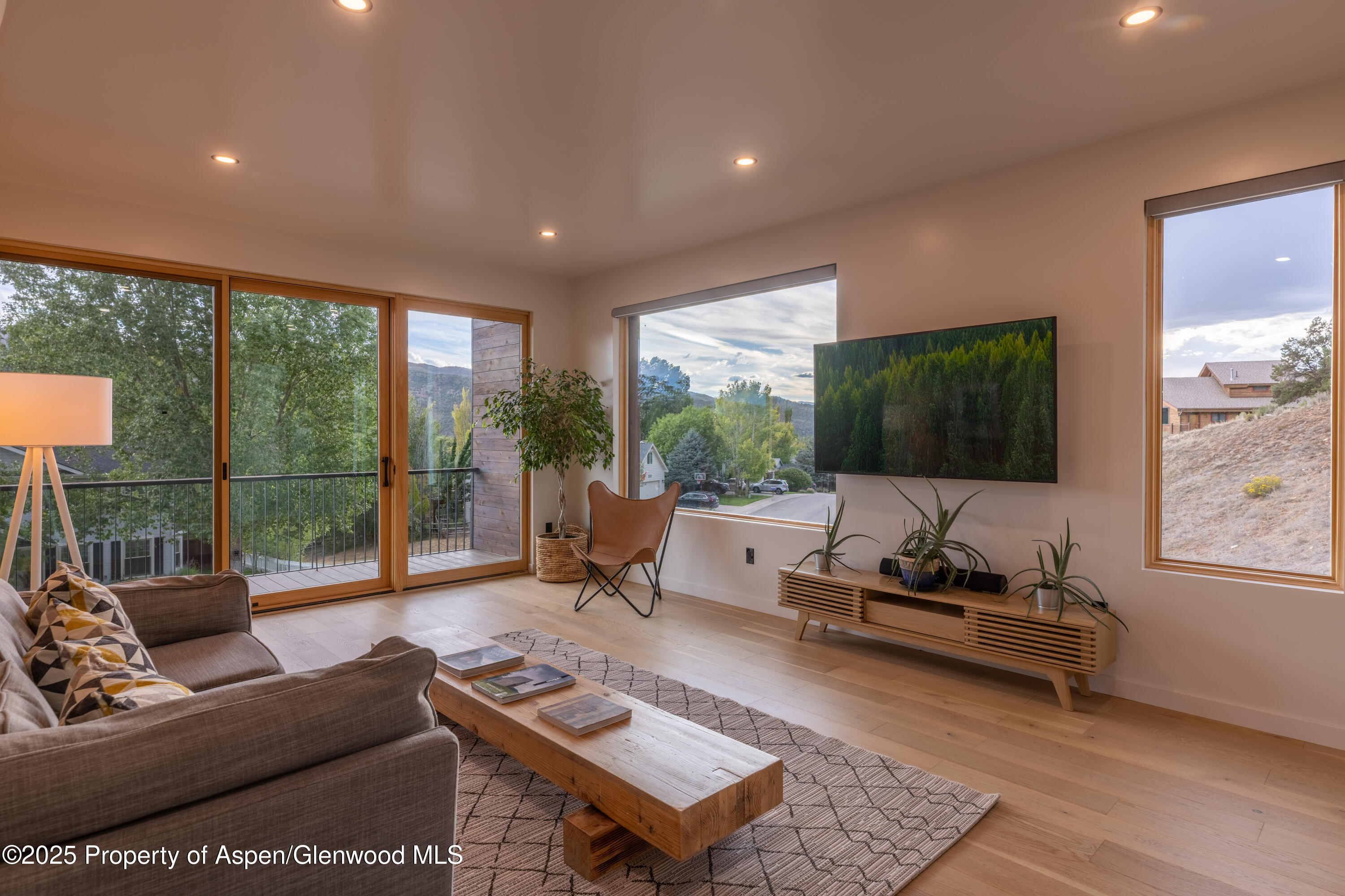 298 Black Bear Trail Carbondale CO 81623