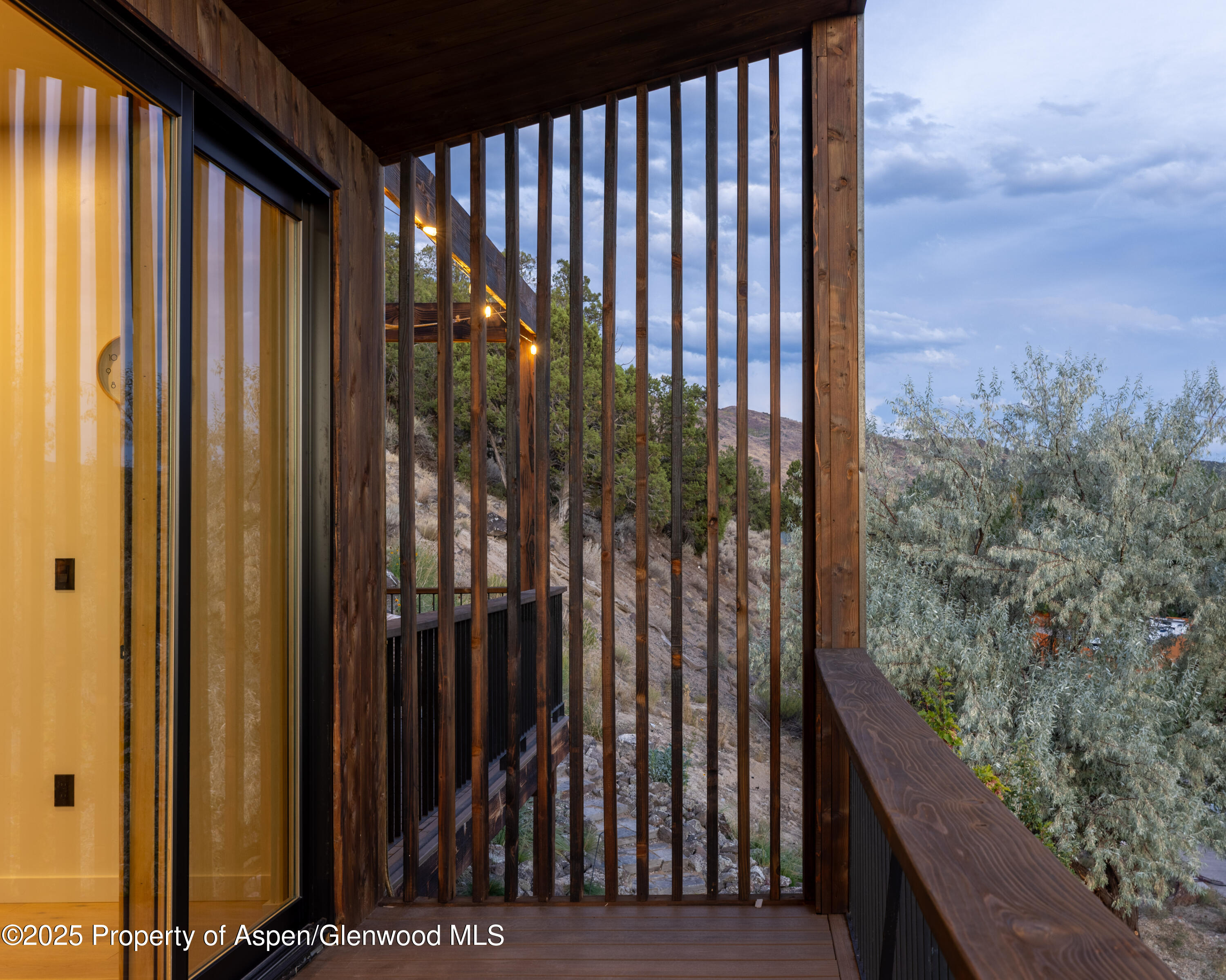 298 Black Bear Trail Carbondale CO 81623