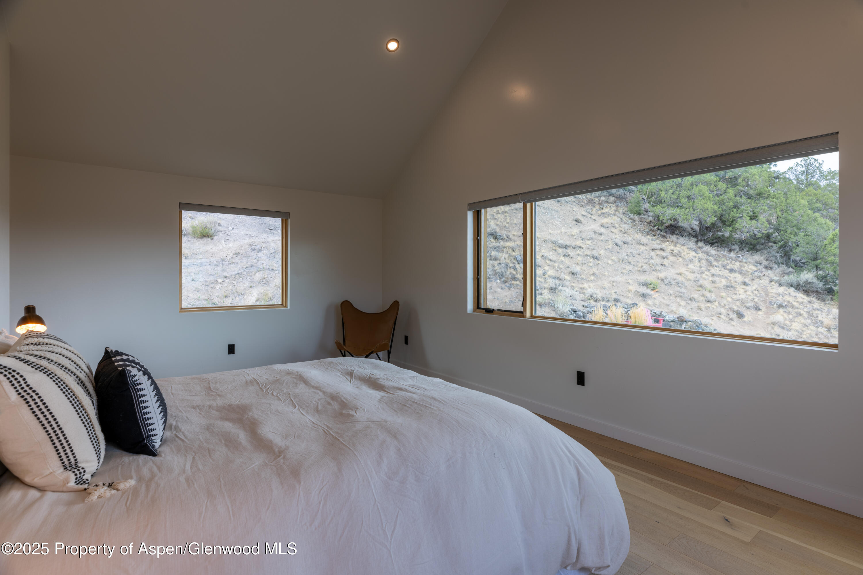 298 Black Bear Trail Carbondale CO 81623