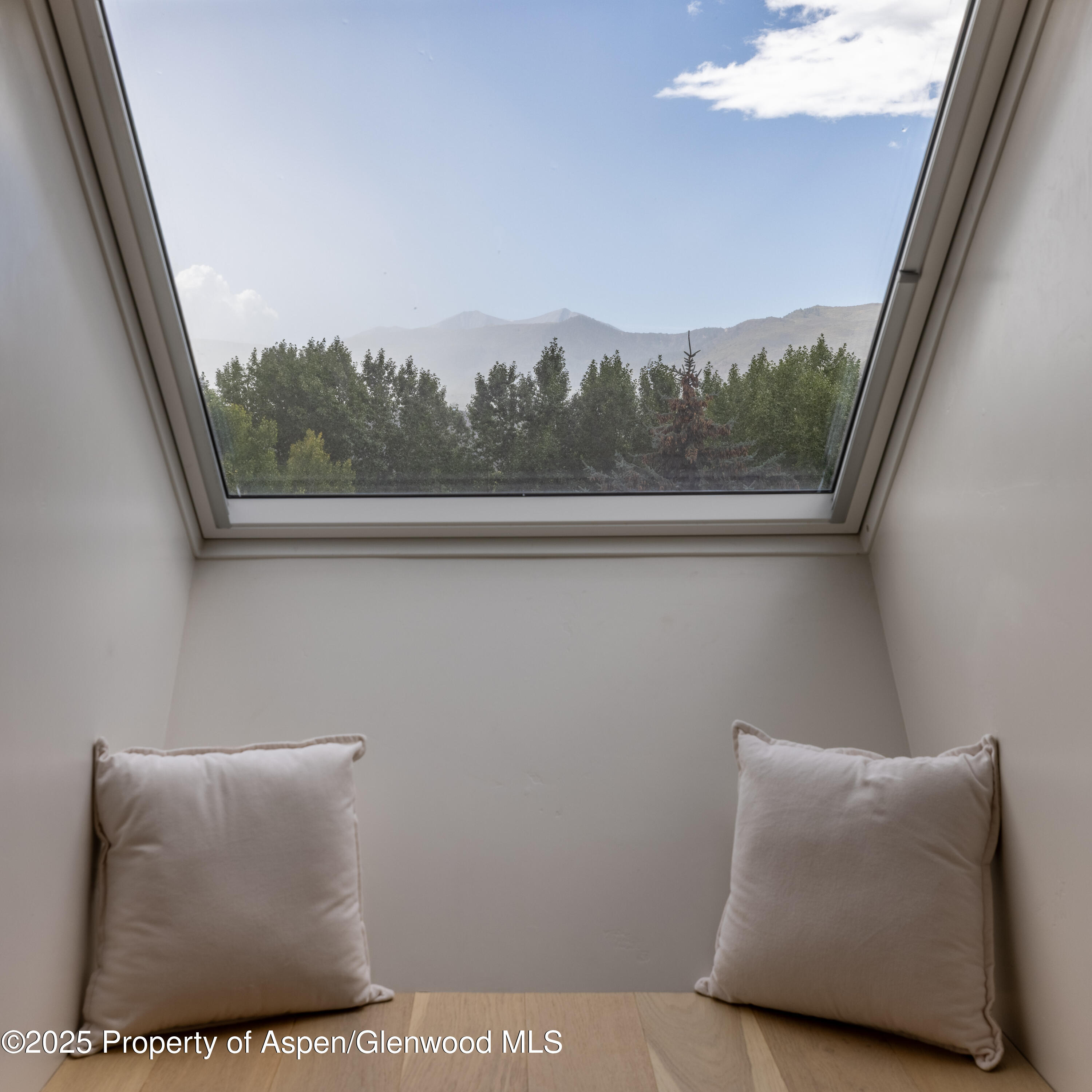 298 Black Bear Trail Carbondale CO 81623