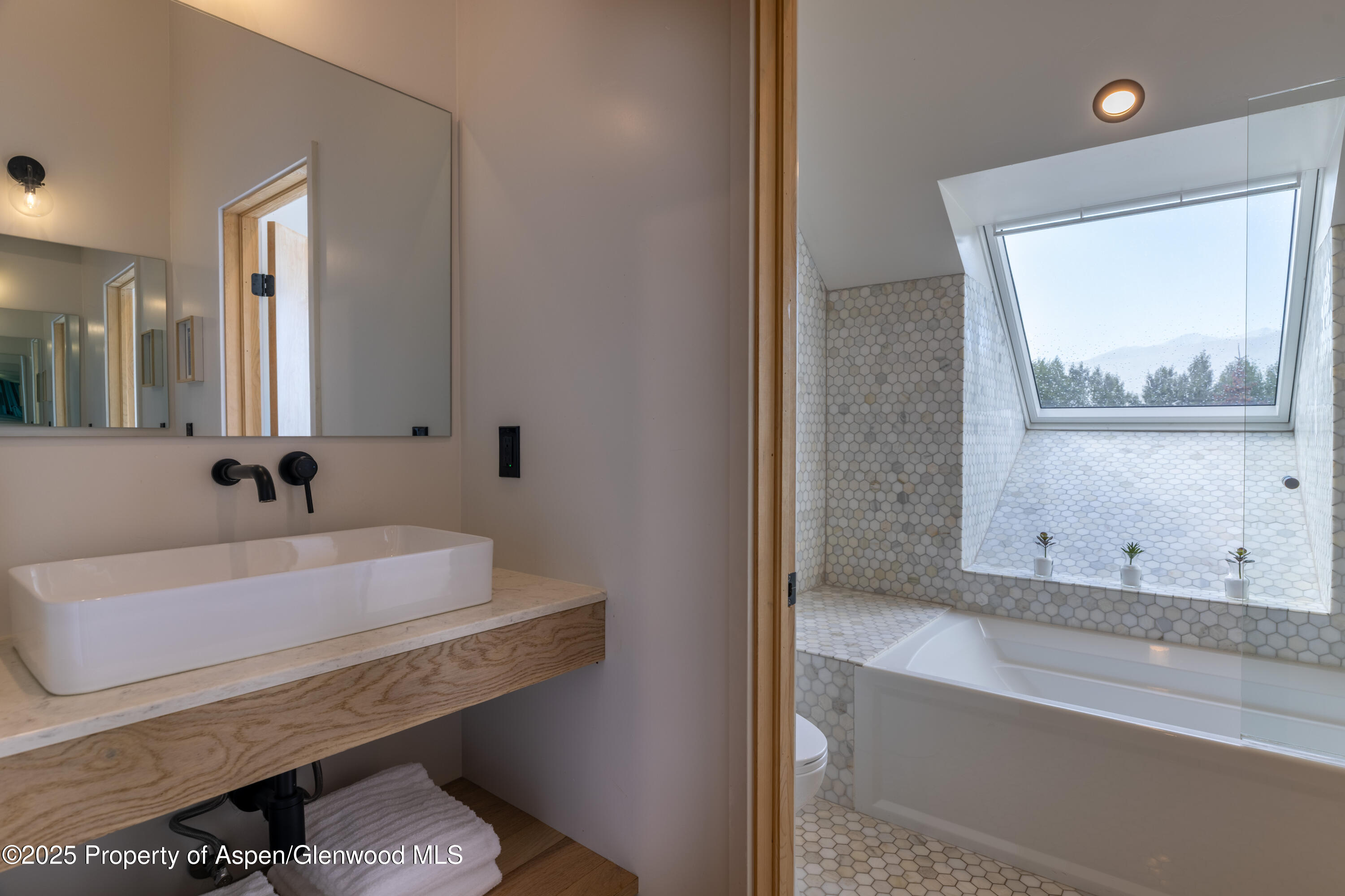 298 Black Bear Trail Carbondale CO 81623