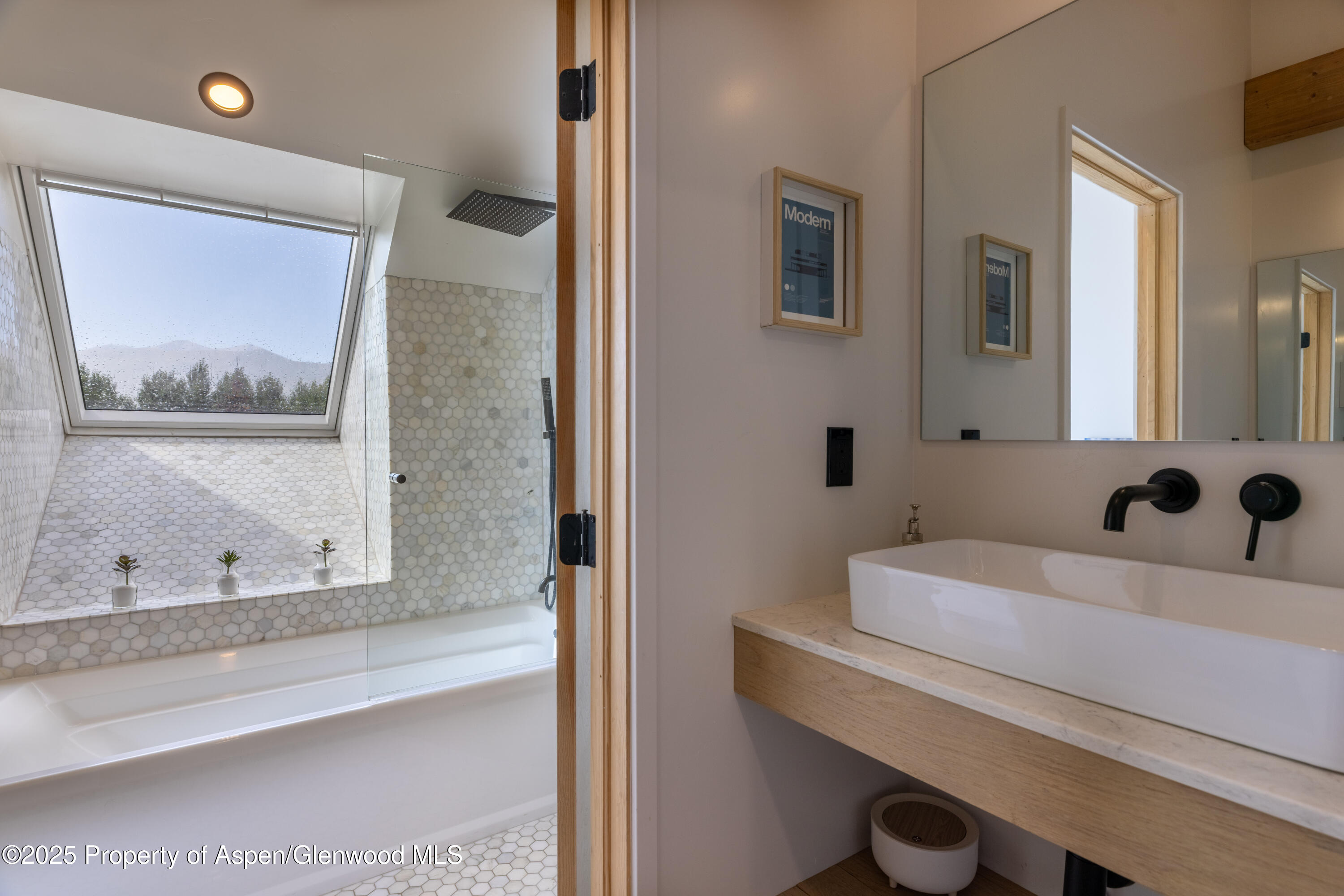 298 Black Bear Trail Carbondale CO 81623