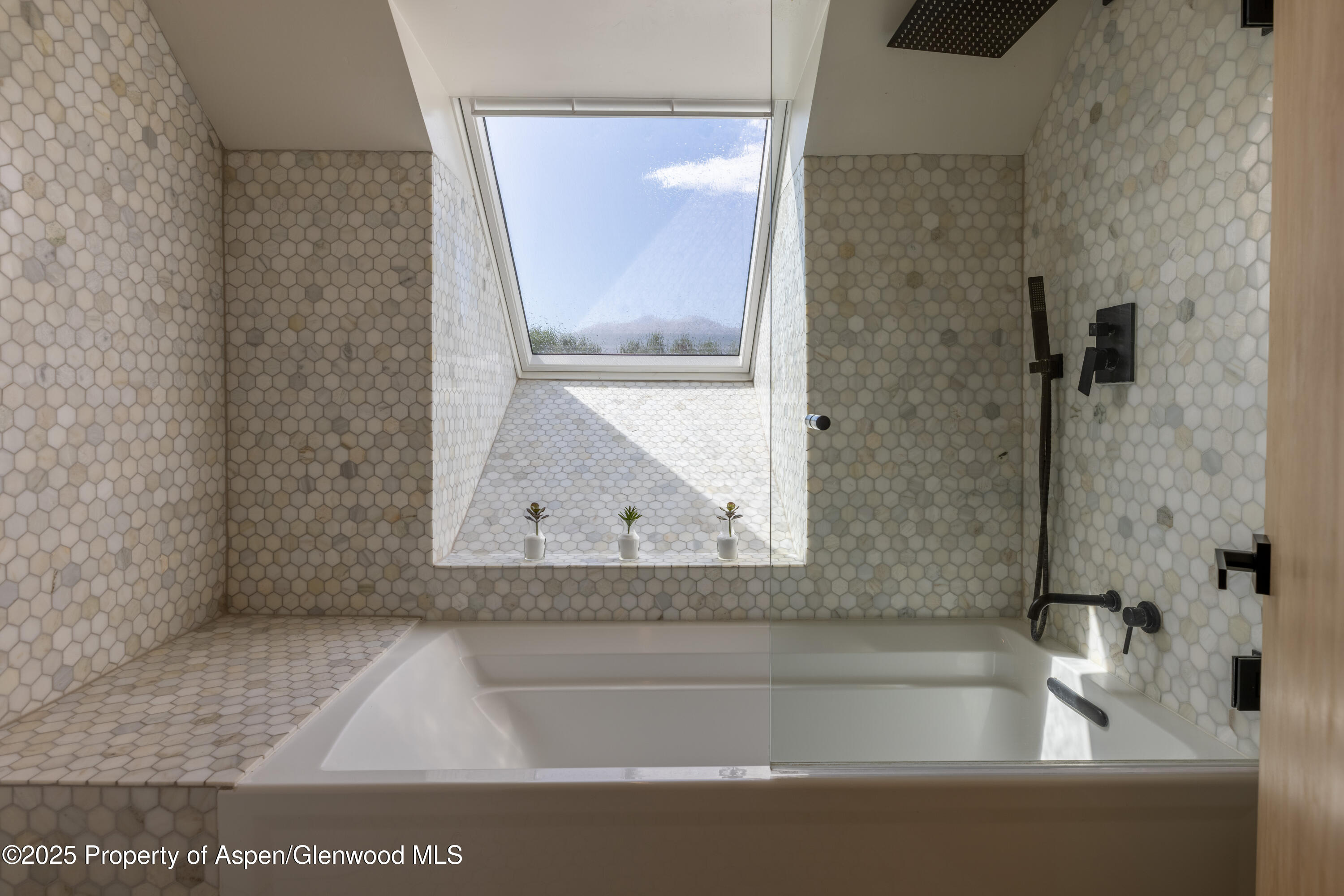 298 Black Bear Trail Carbondale CO 81623