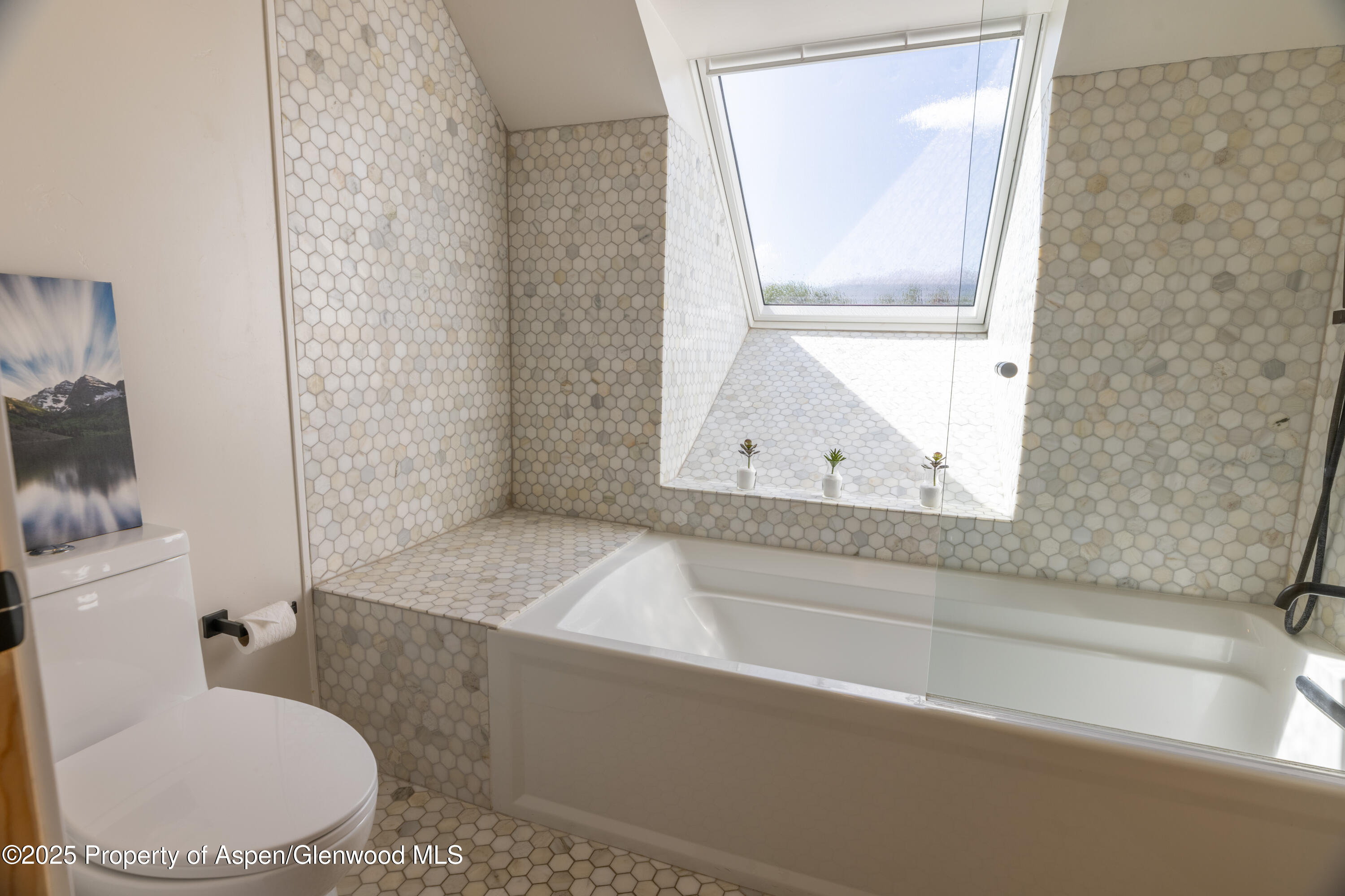 298 Black Bear Trail Carbondale CO 81623