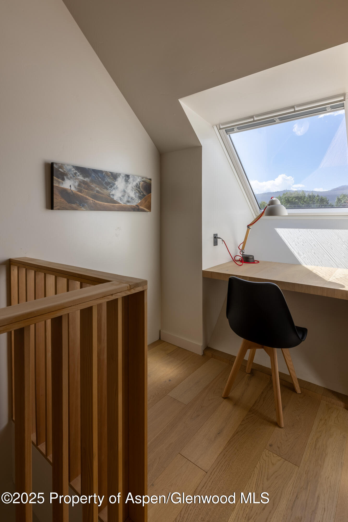 298 Black Bear Trail Carbondale CO 81623