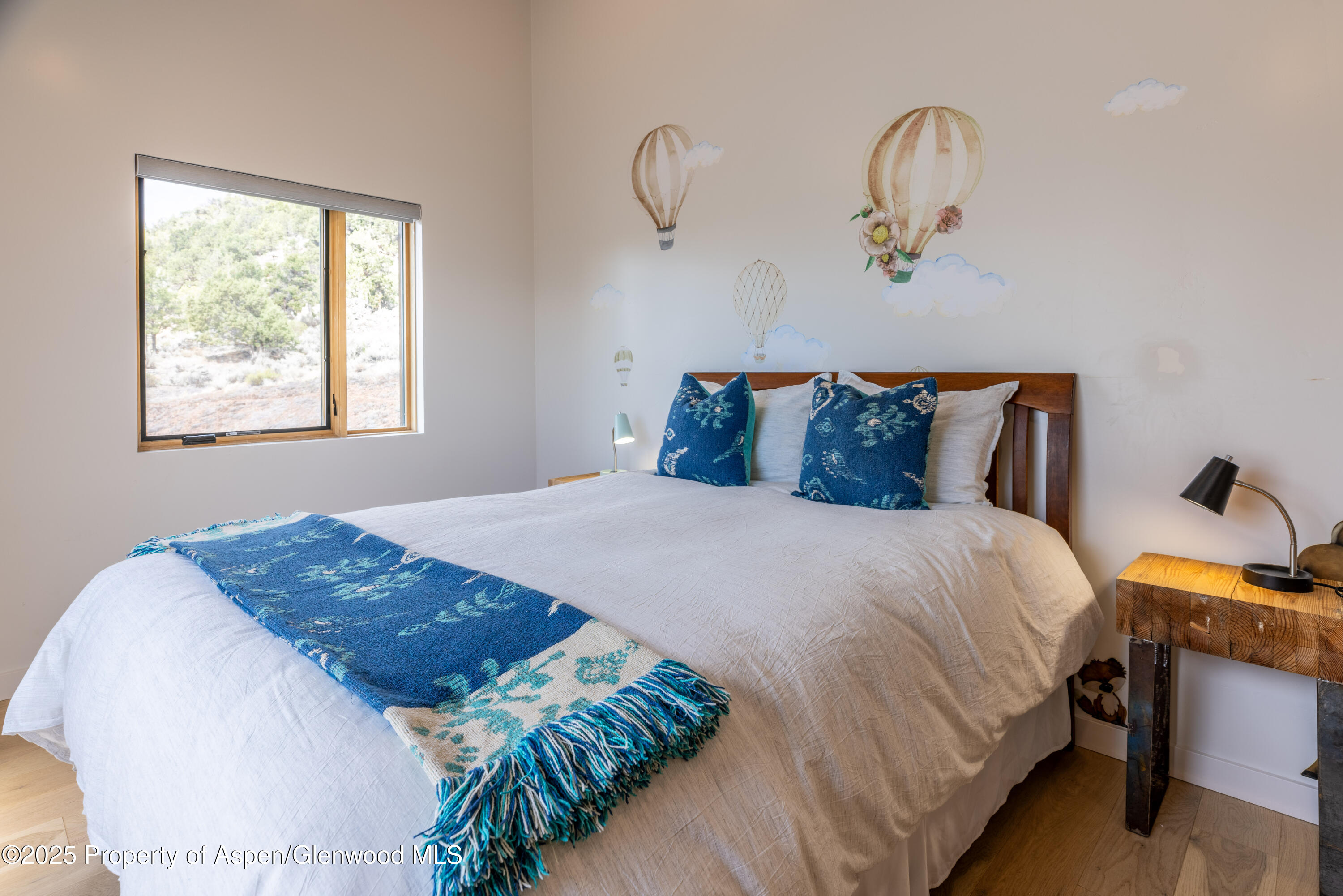 298 Black Bear Trail Carbondale CO 81623