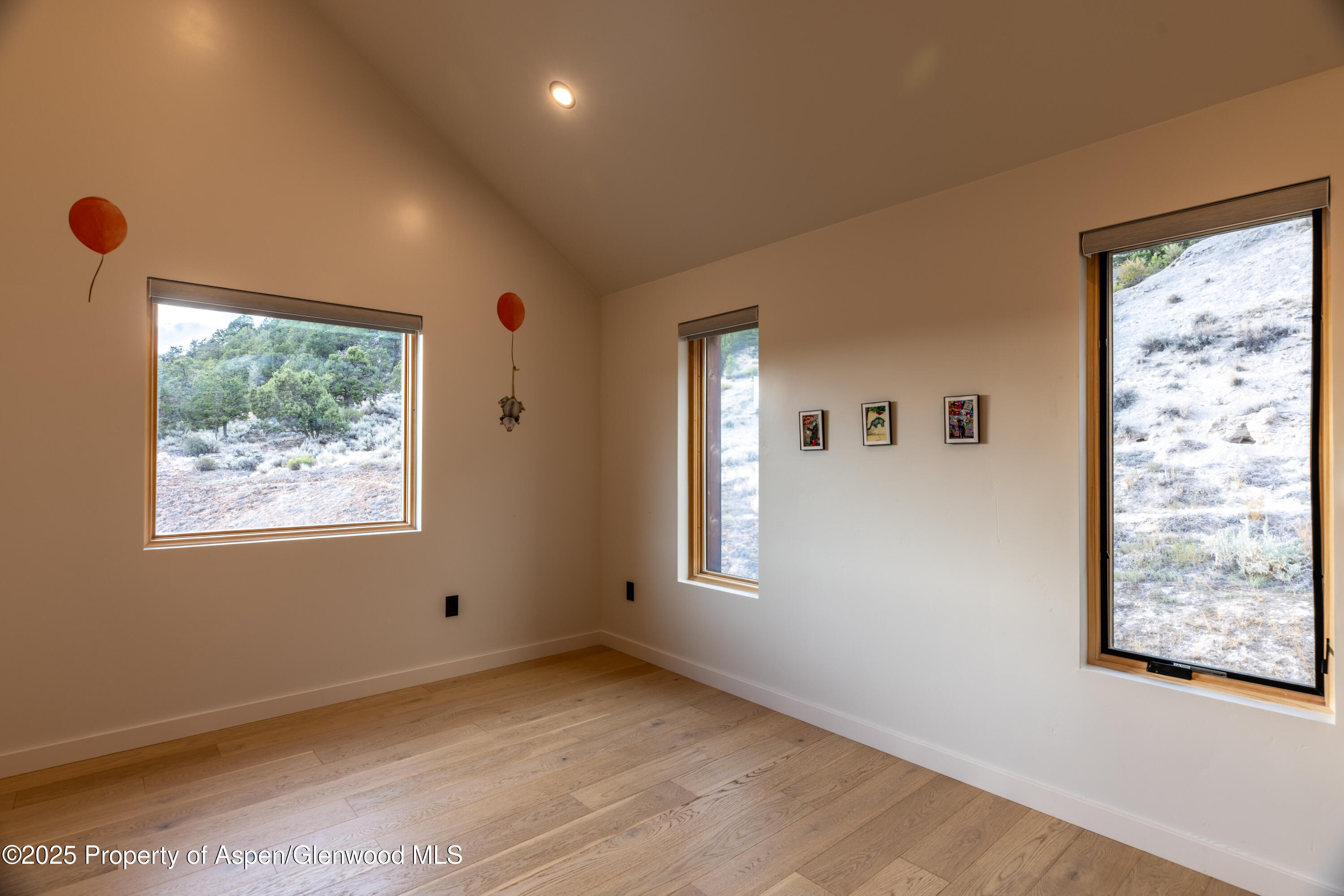 298 Black Bear Trail Carbondale CO 81623