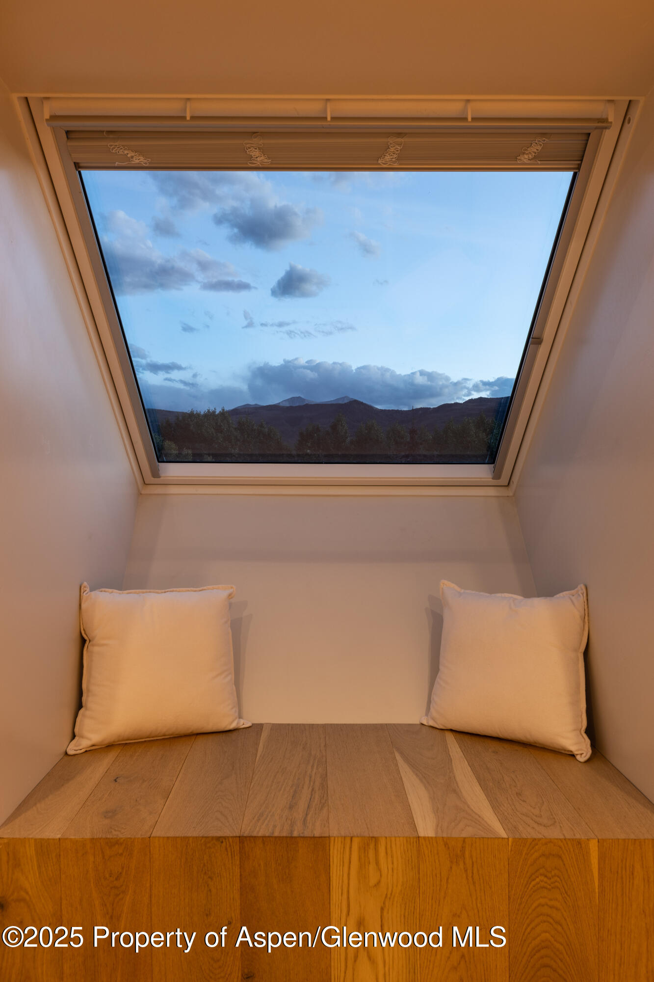 298 Black Bear Trail Carbondale CO 81623