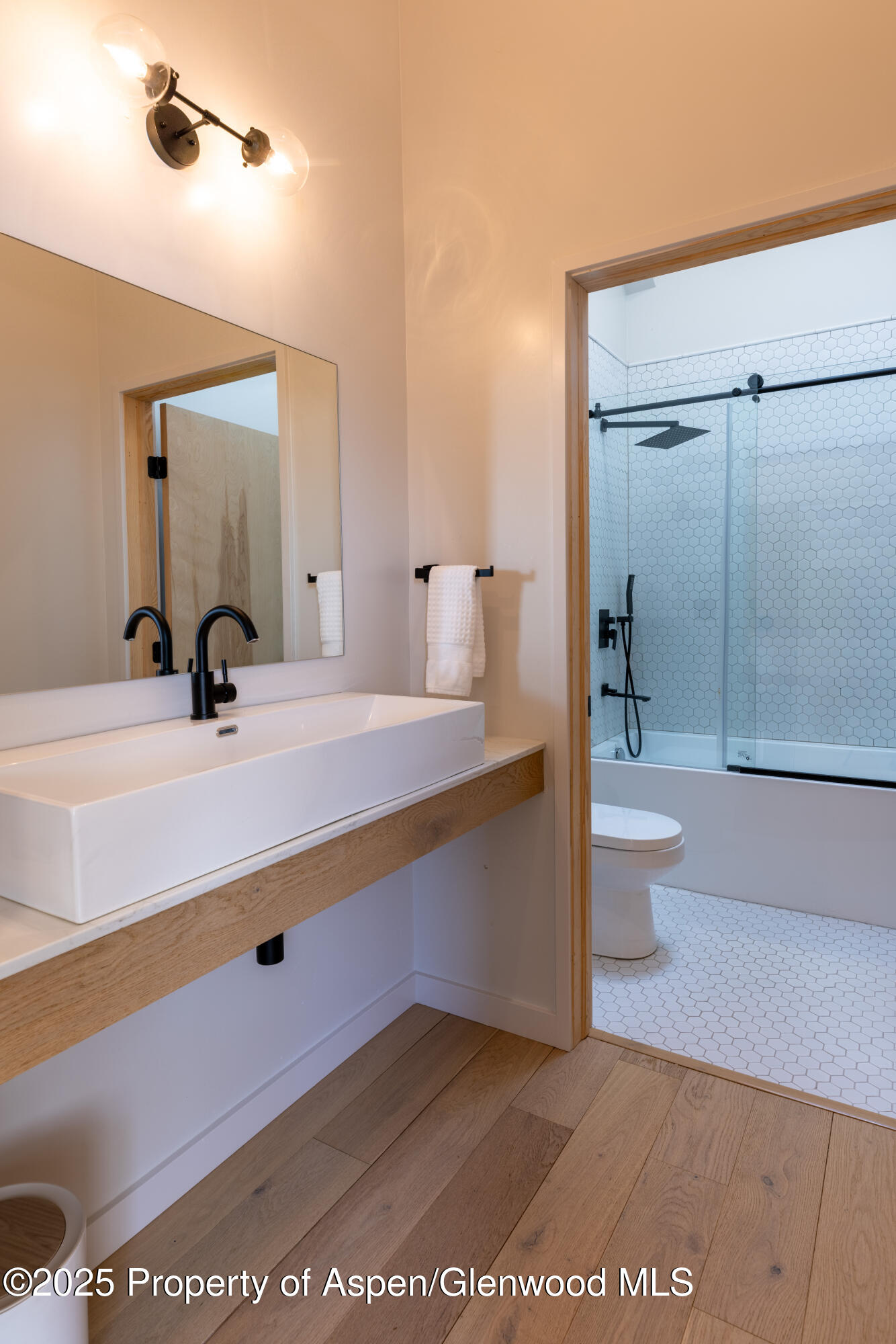 298 Black Bear Trail Carbondale CO 81623