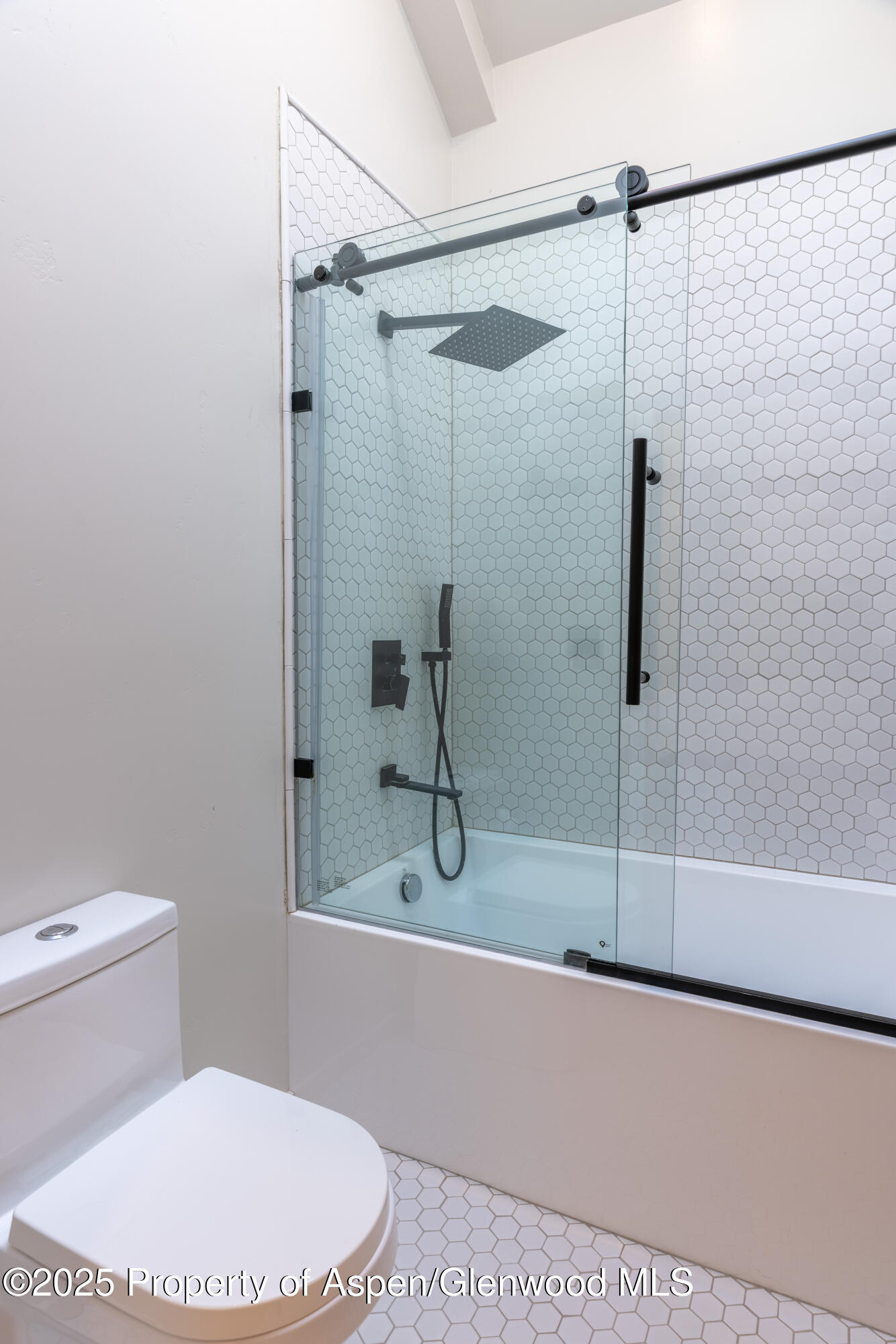 298 Black Bear Trail Carbondale CO 81623