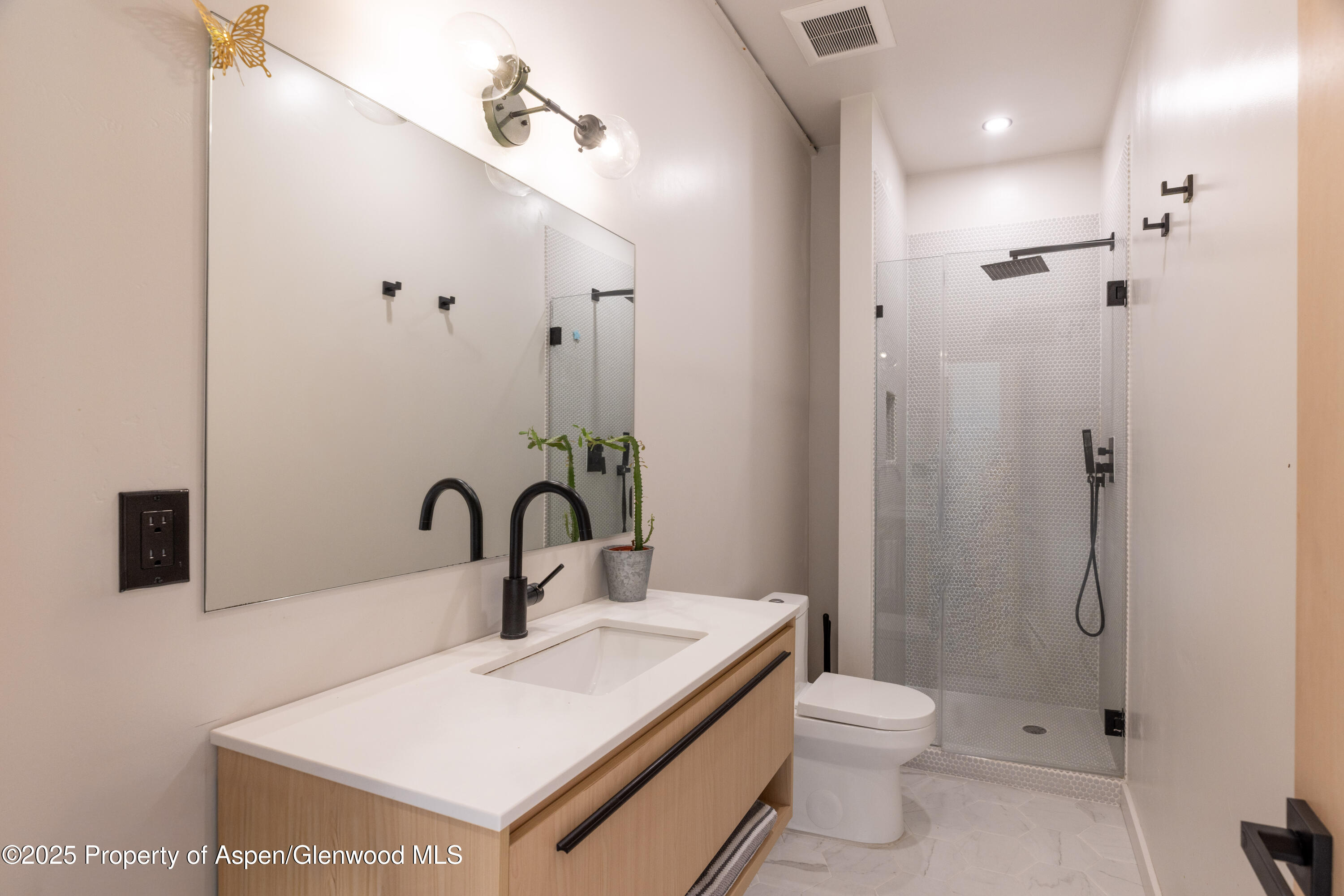 298 Black Bear Trail Carbondale CO 81623