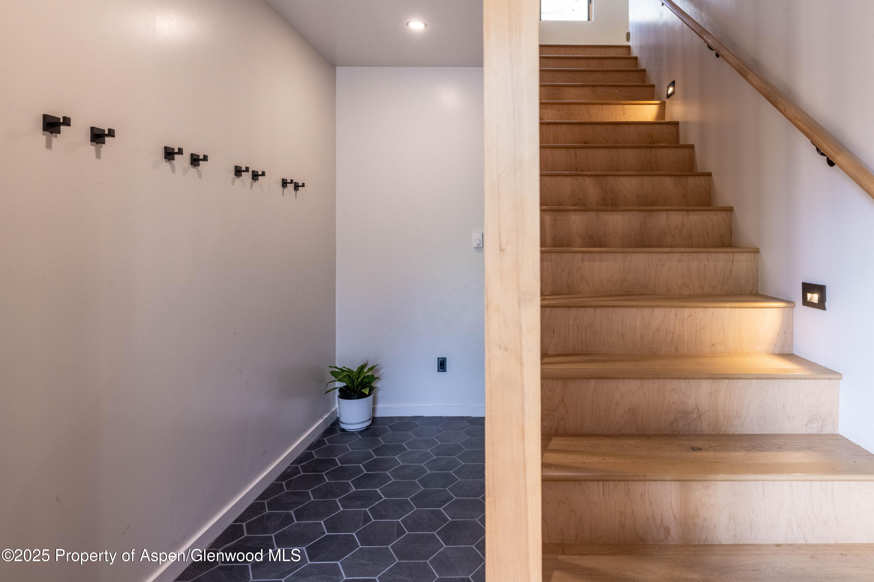 298 Black Bear Trail Carbondale CO 81623