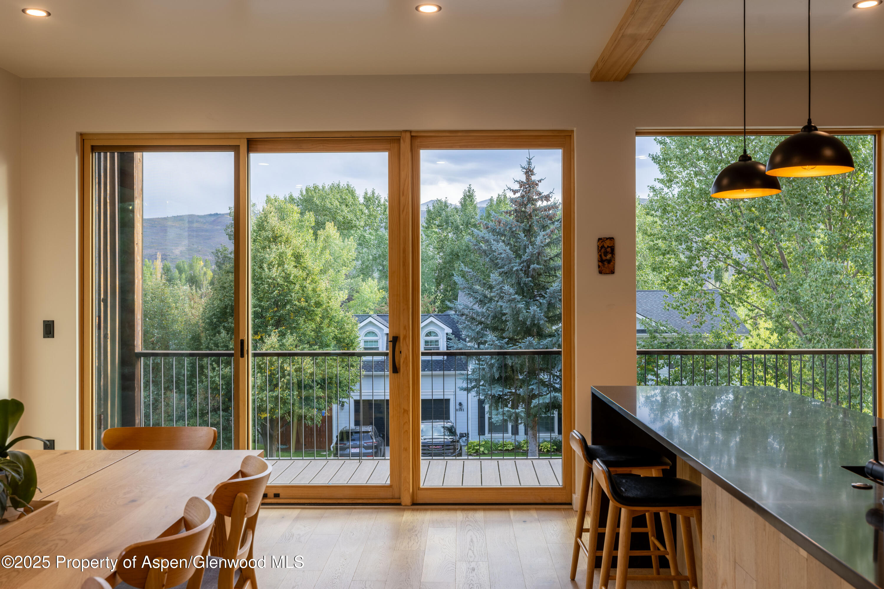 298 Black Bear Trail Carbondale CO 81623