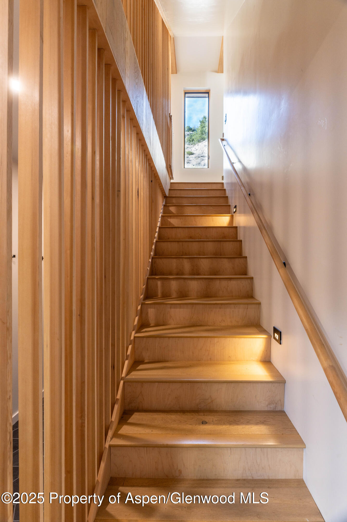 298 Black Bear Trail Carbondale CO 81623