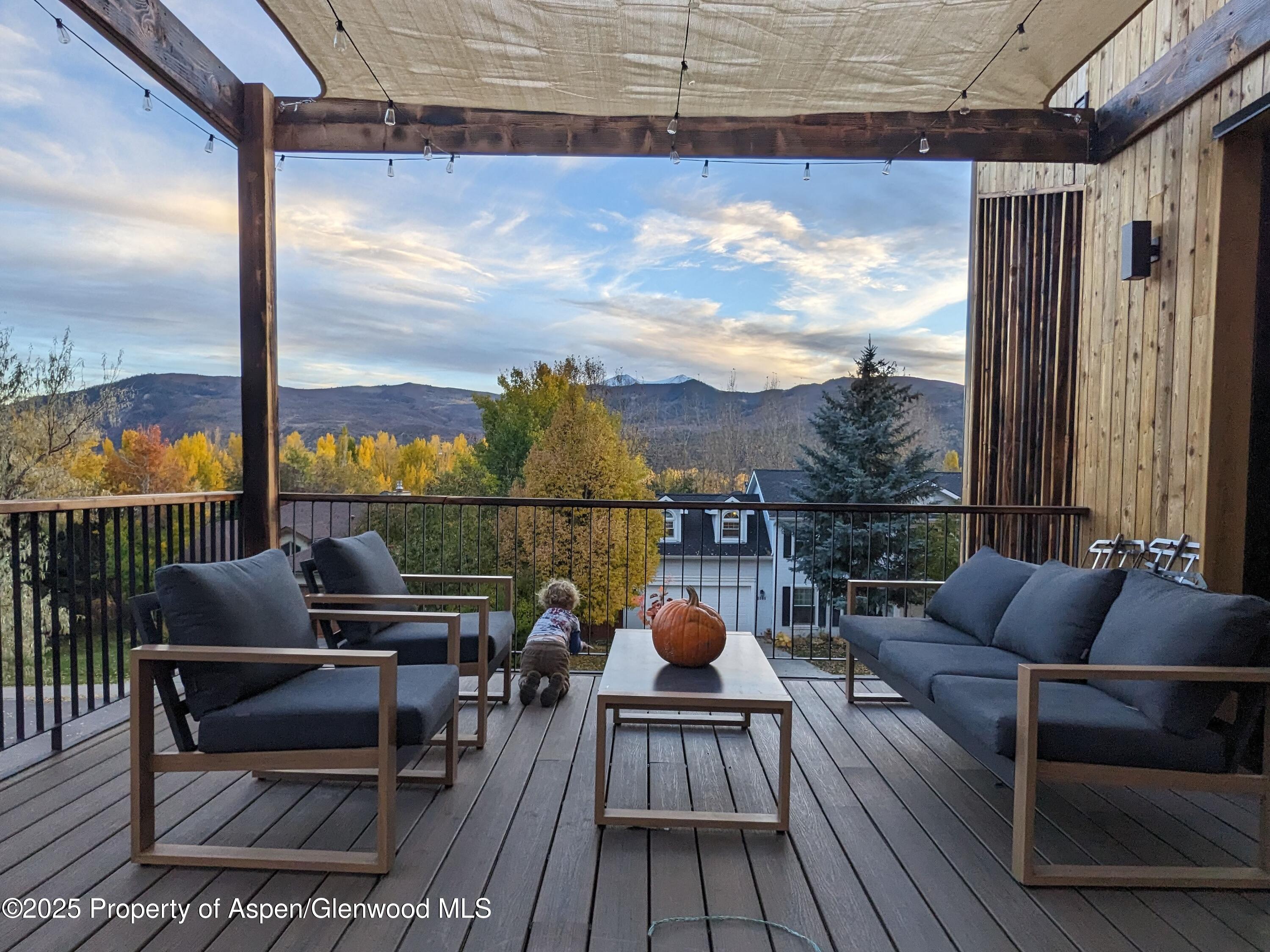 298 Black Bear Trail Carbondale CO 81623