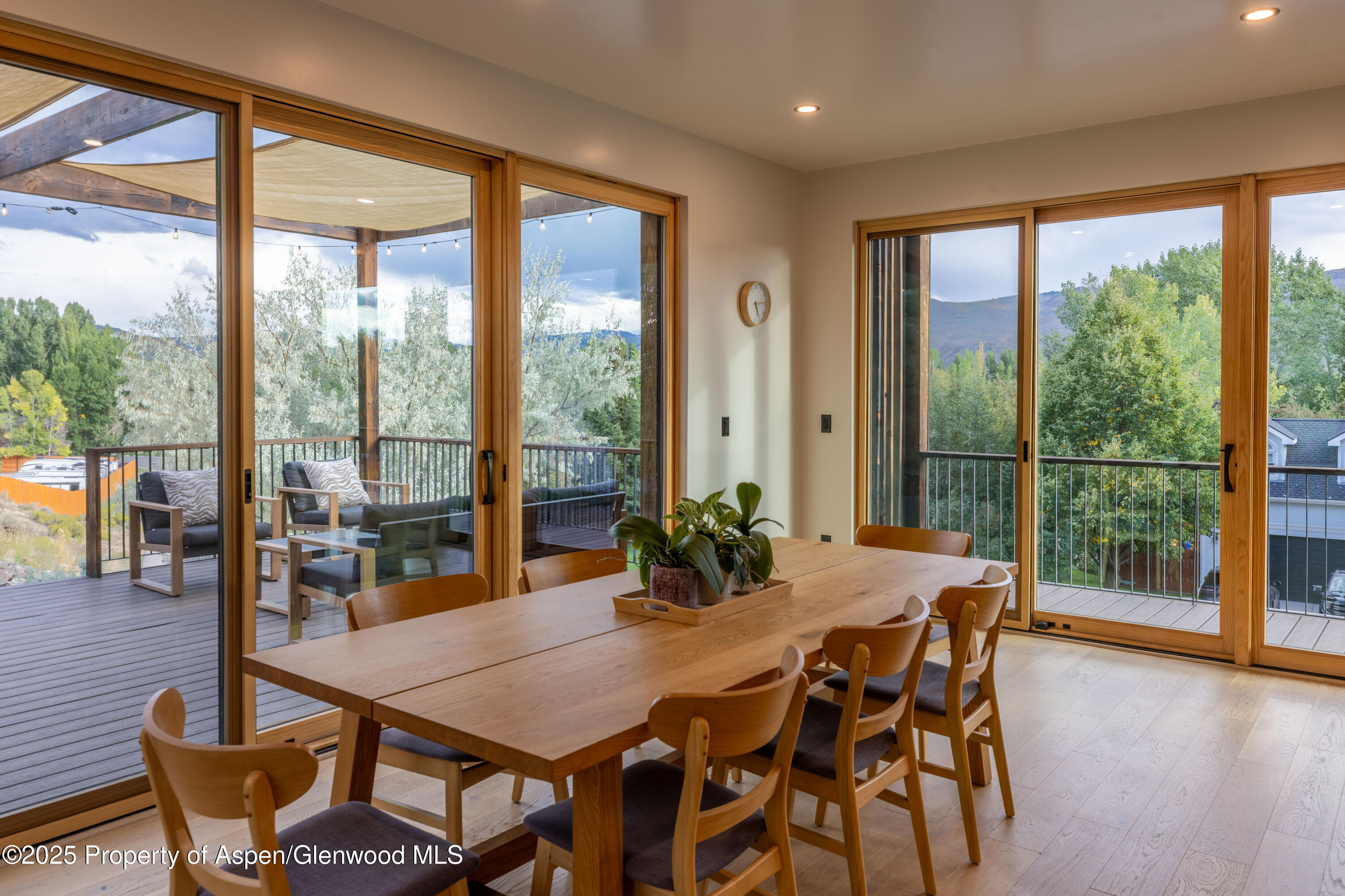 298 Black Bear Trail Carbondale CO 81623