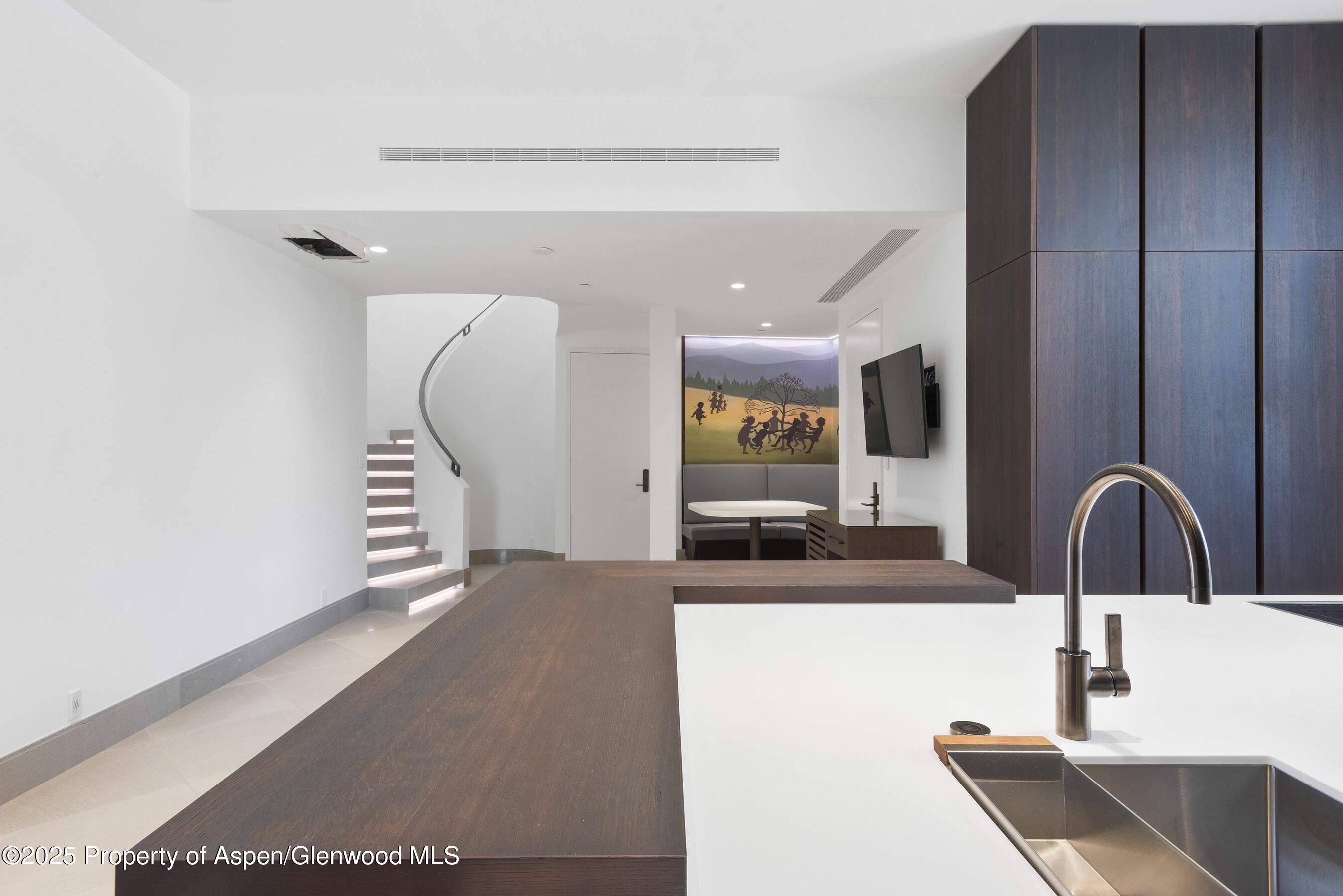 401 Eagle Park Drive Aspen CO 81611