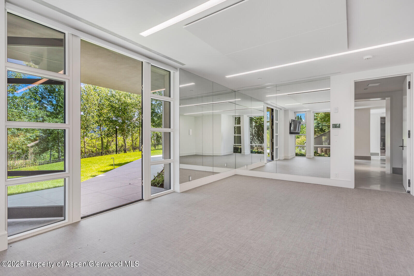 401 Eagle Park Drive Aspen CO 81611