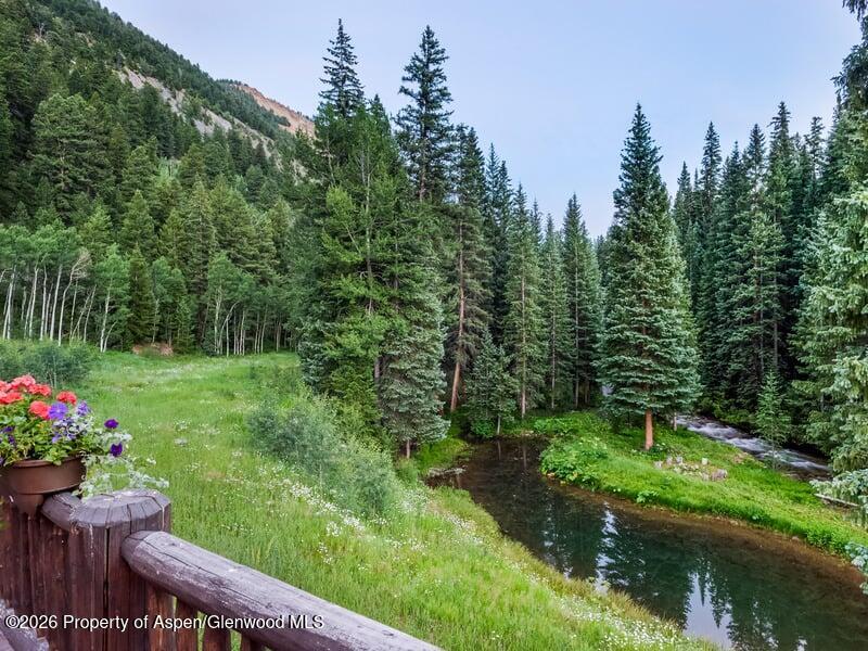 27 & 33 Fall Creek Aspen CO 81611