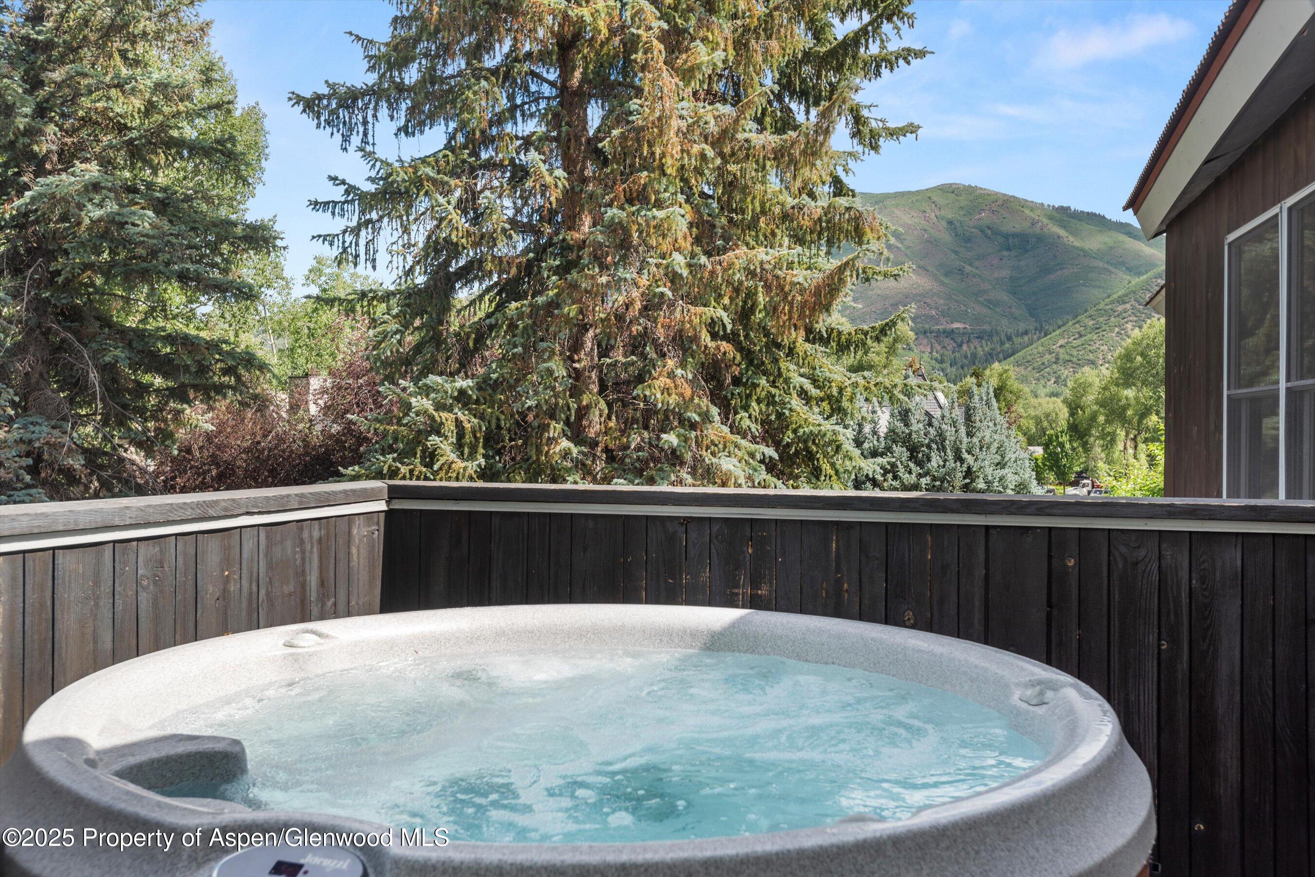 939 E Cooper Avenue Aspen CO 81611