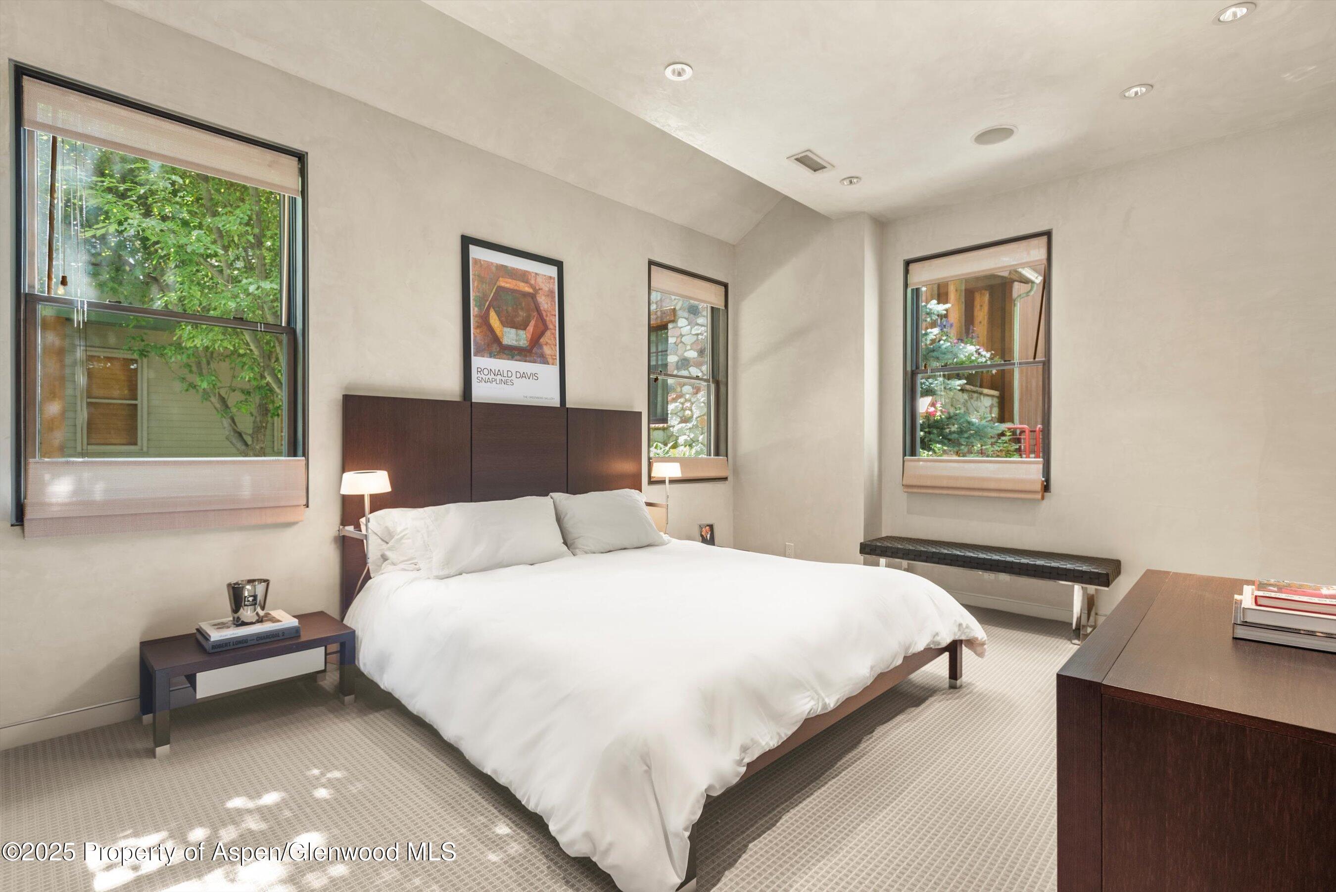 939 E Cooper Avenue Aspen CO 81611