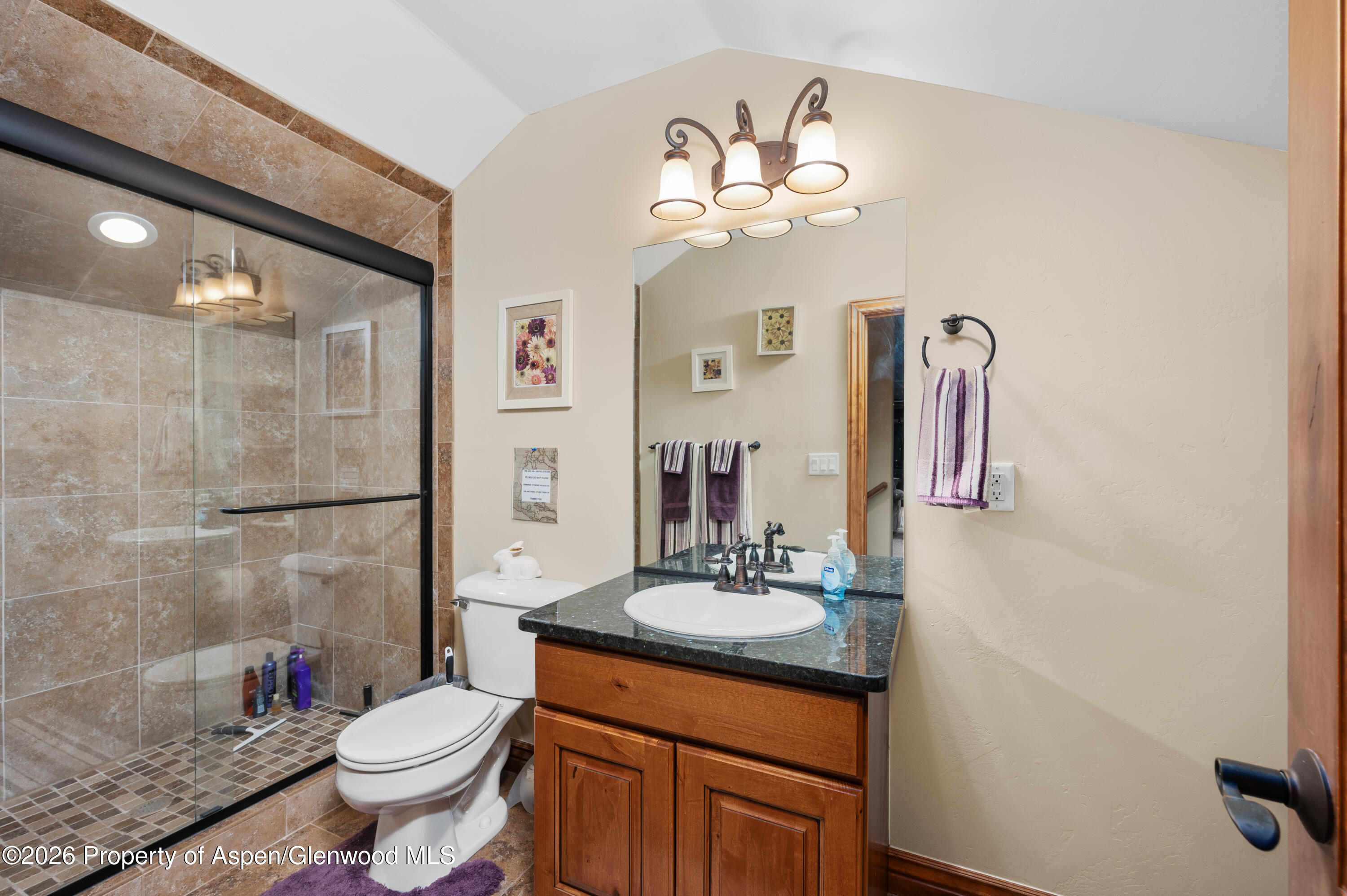 1306 Gold Lake Drive Loma CO 81524