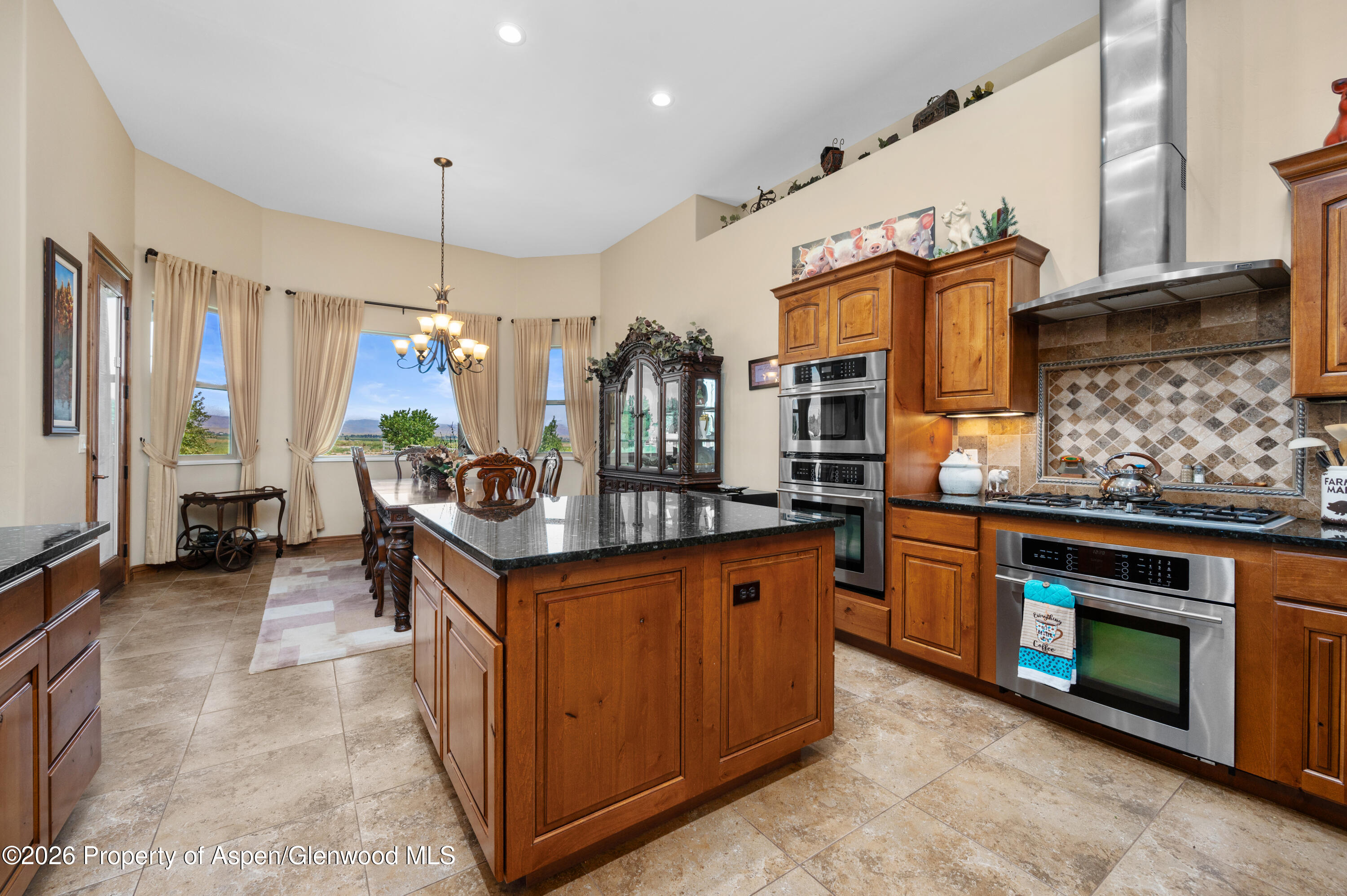 1306 Gold Lake Drive Loma CO 81524