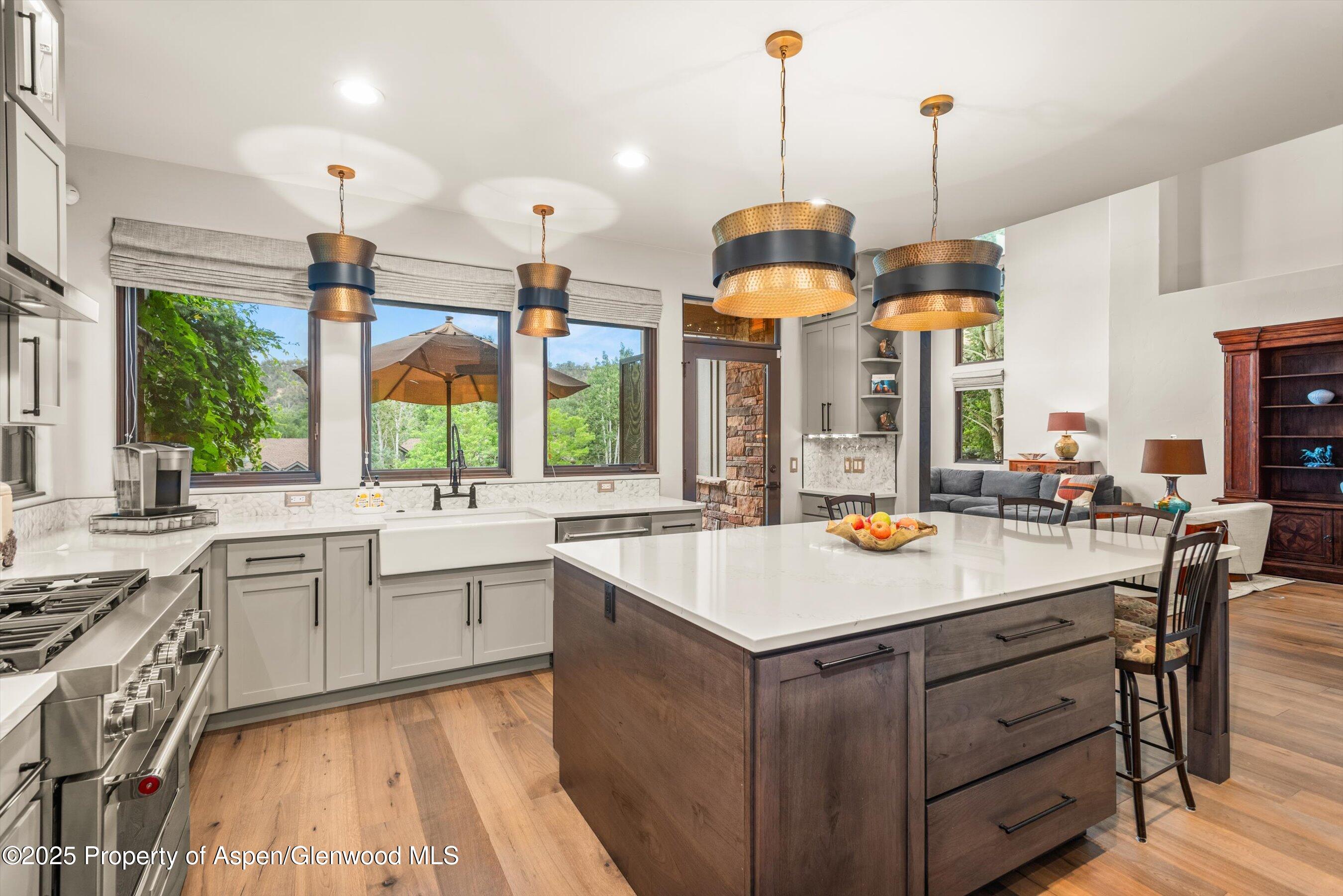 674 N Bridge Drive Carbondale CO 81623