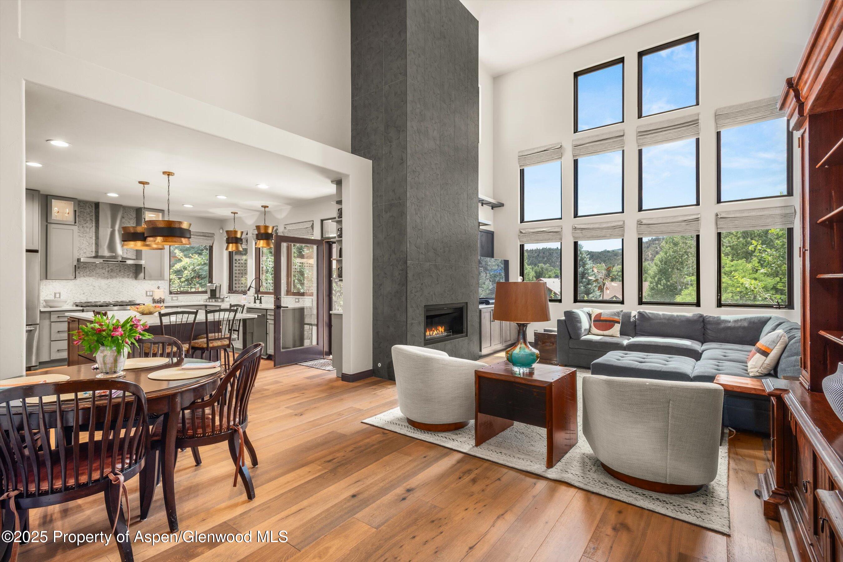 674 N Bridge Drive Carbondale CO 81623