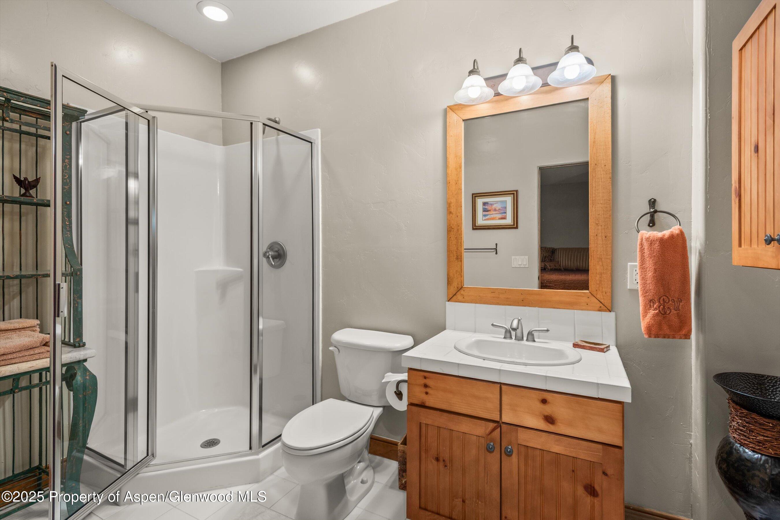 674 N Bridge Drive Carbondale CO 81623