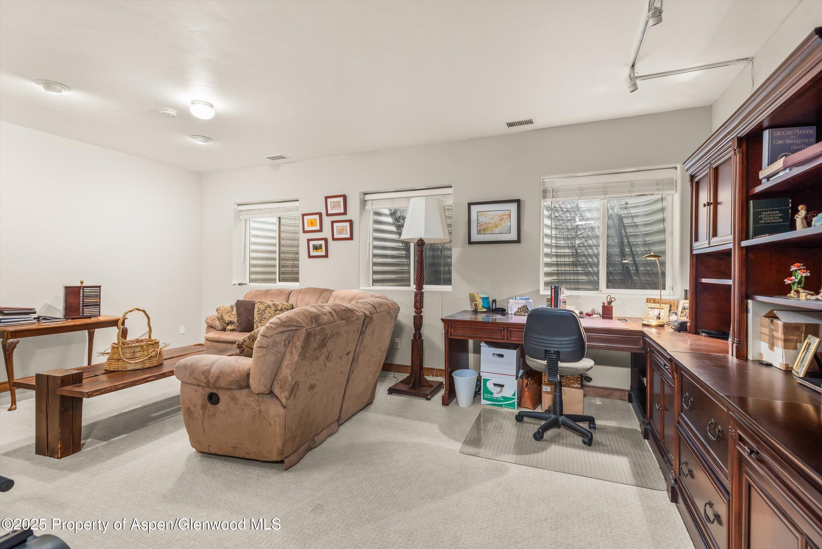 674 N Bridge Drive Carbondale CO 81623