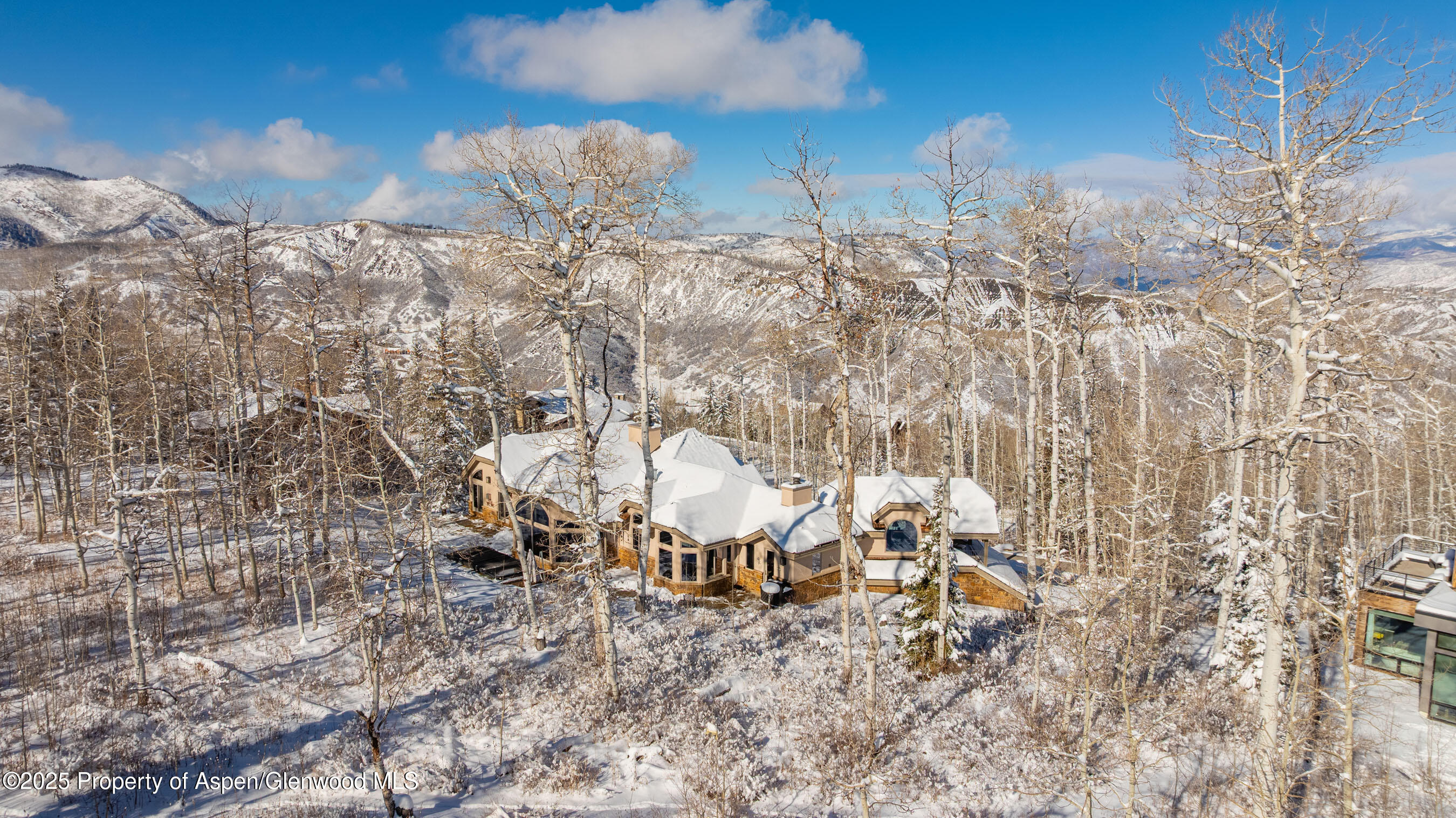 141 Baby Doe Lane Snowmass Village CO 81615