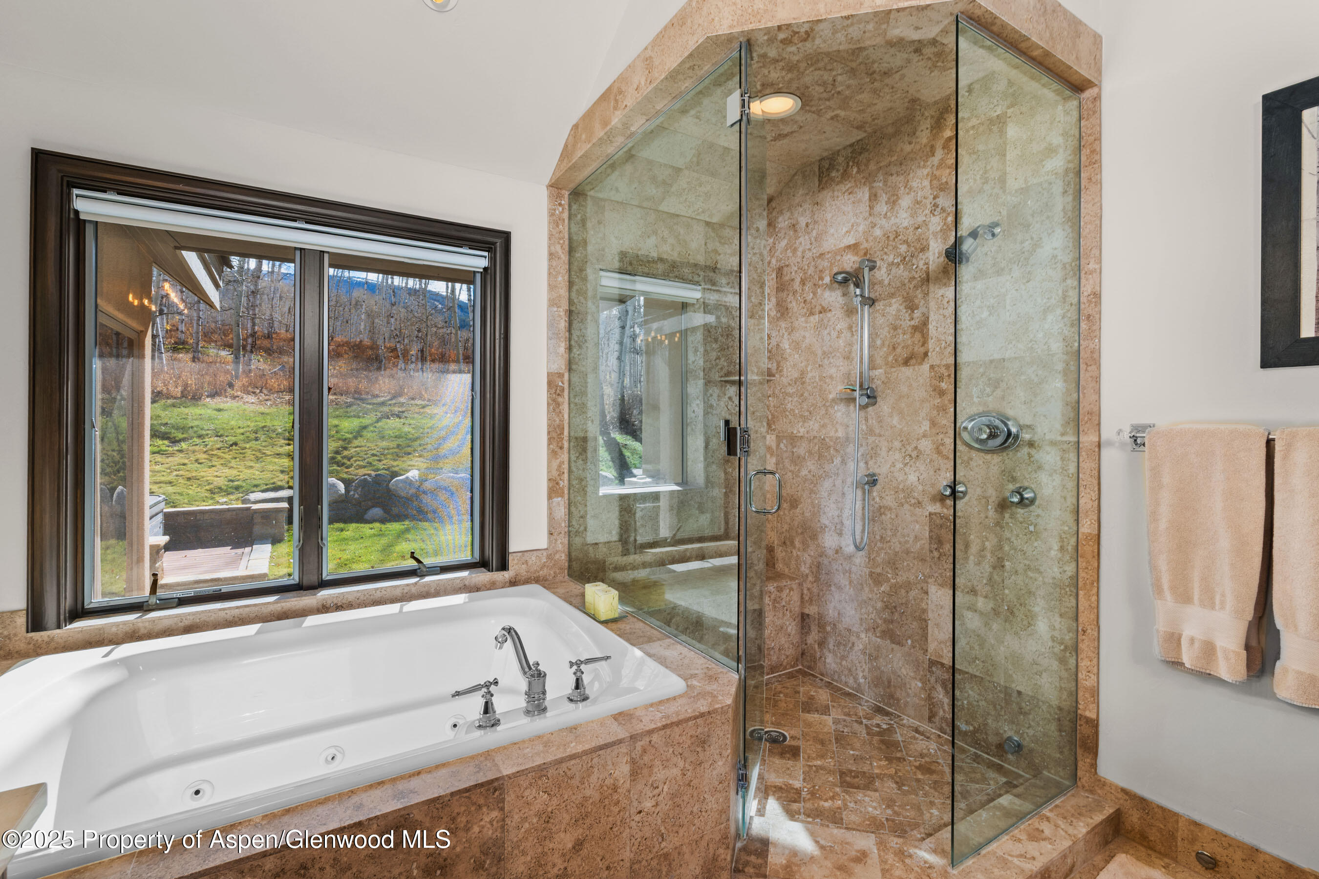 141 Baby Doe Lane Snowmass Village CO 81615
