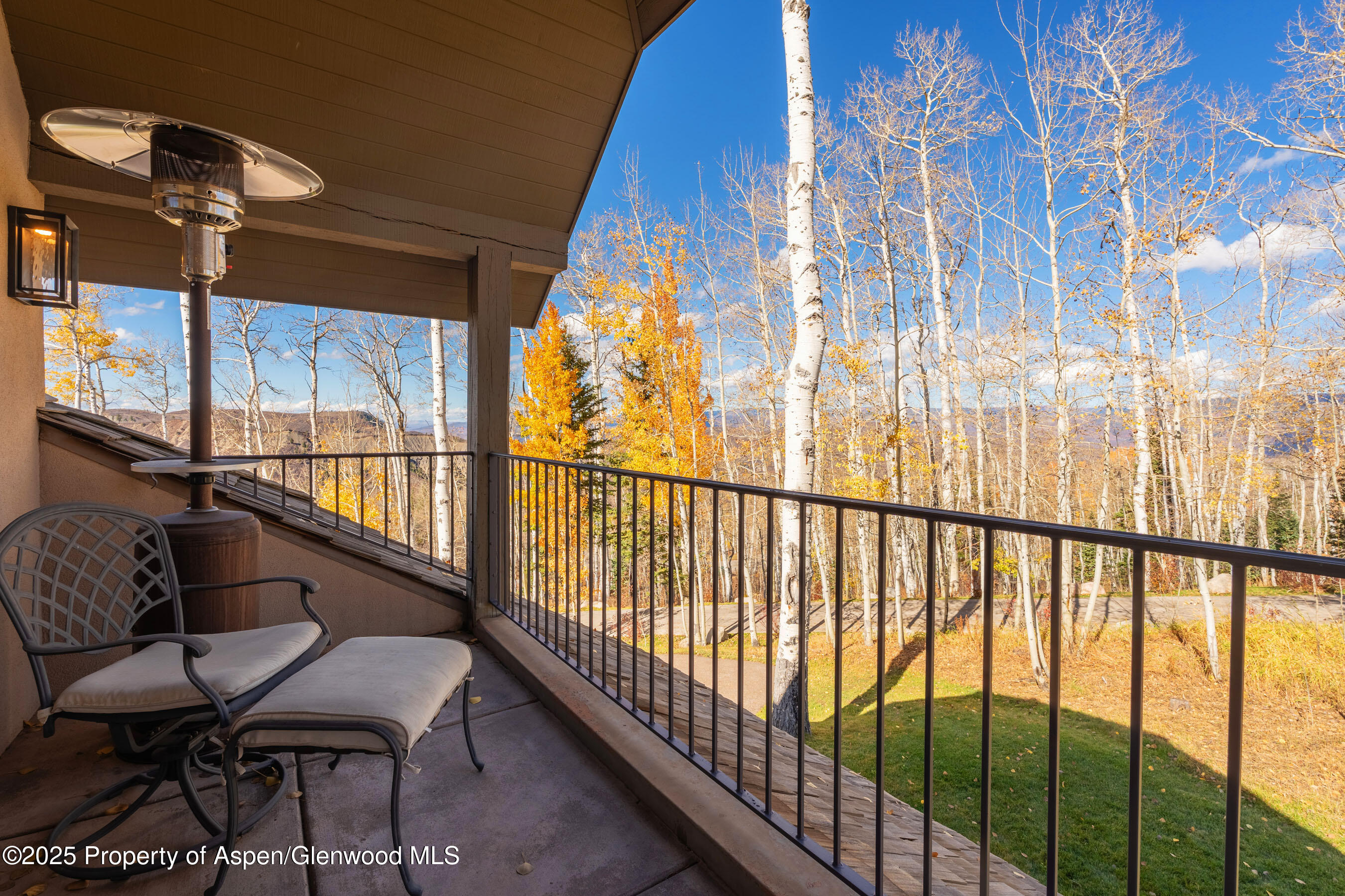 141 Baby Doe Lane Snowmass Village CO 81615