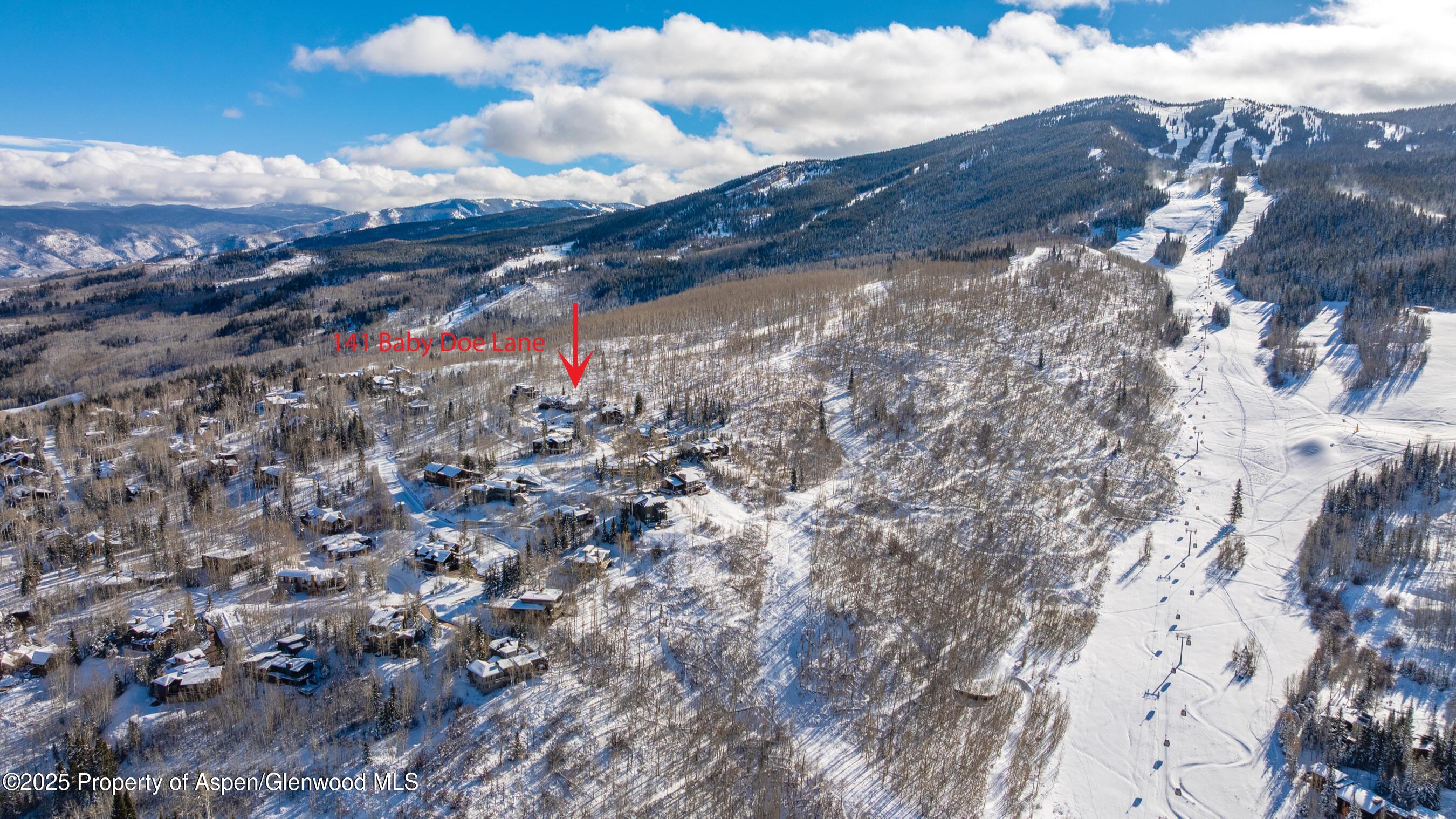 141 Baby Doe Lane Snowmass Village CO 81615