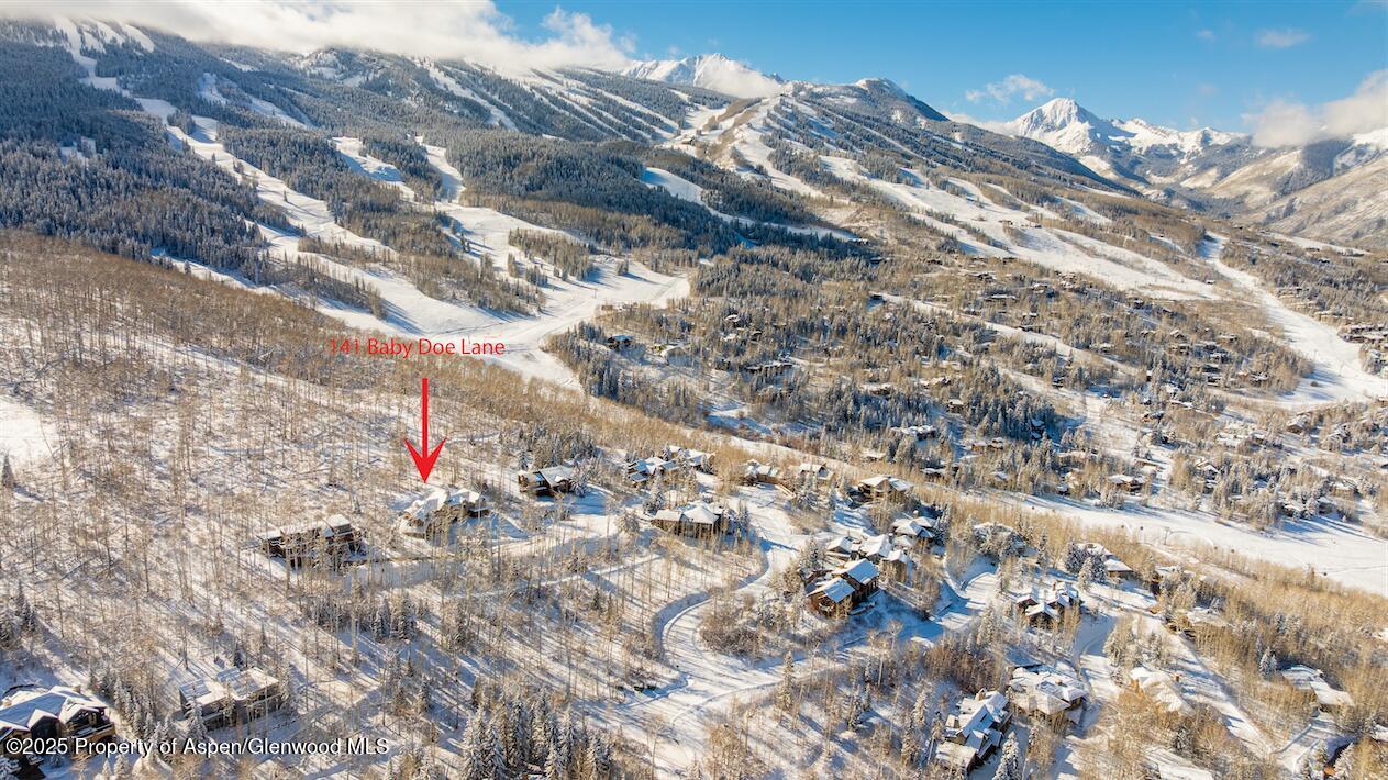 141 Baby Doe Lane Snowmass Village CO 81615