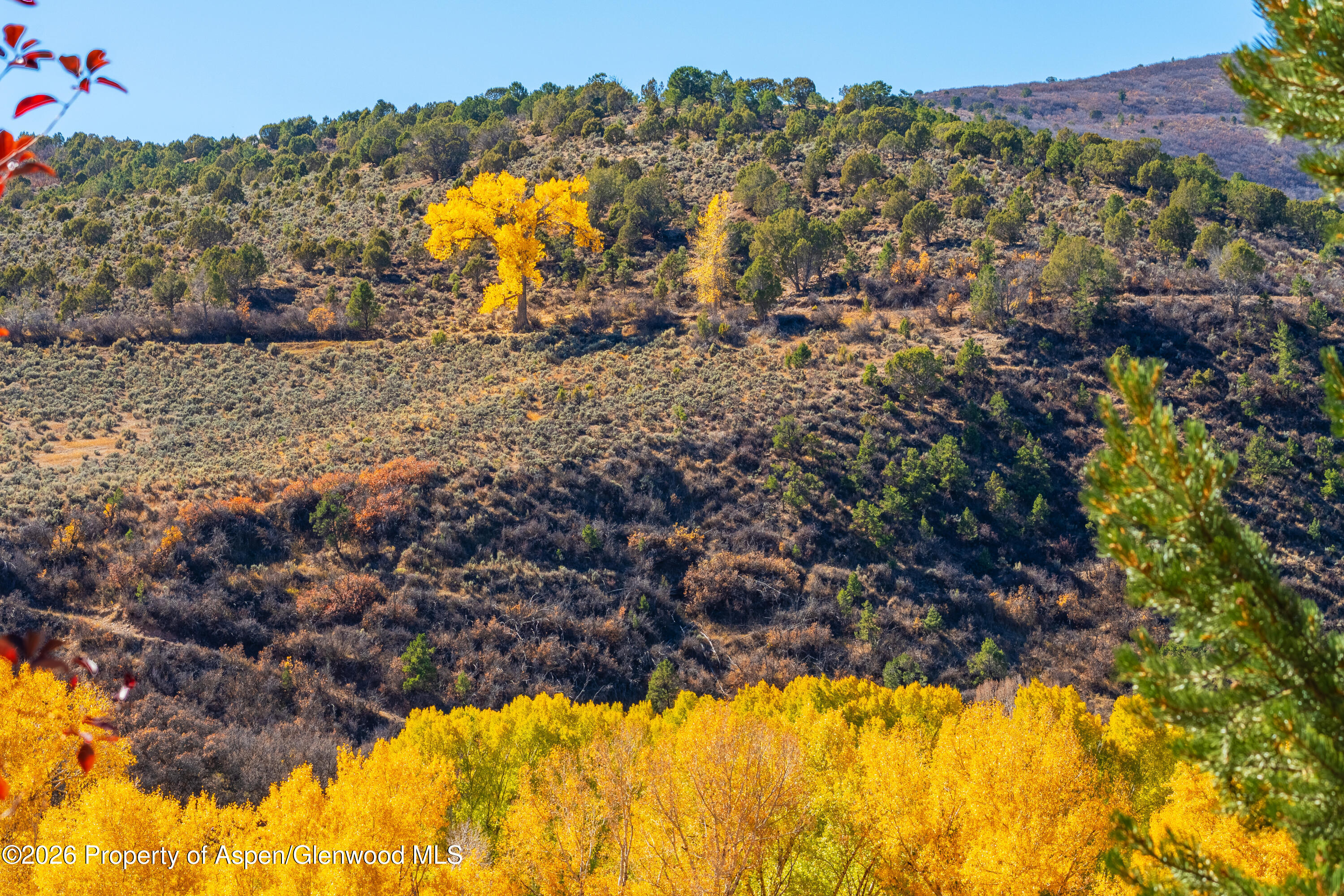 422 Sopris Creek Road Basalt CO 81621