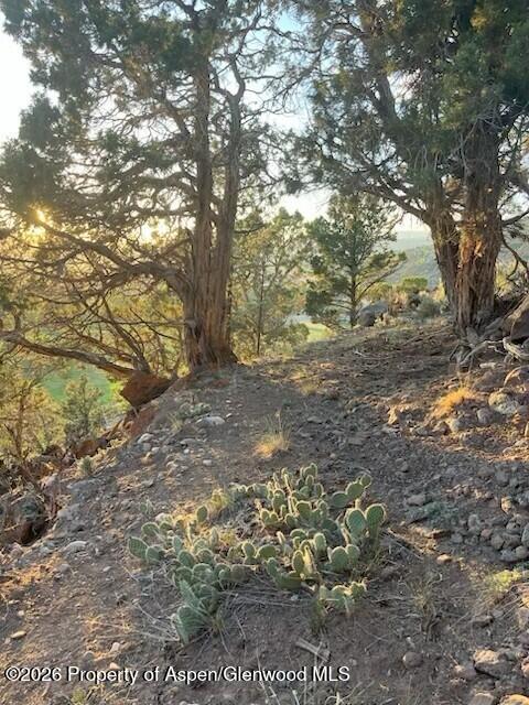 422 Sopris Creek Road Basalt CO 81621