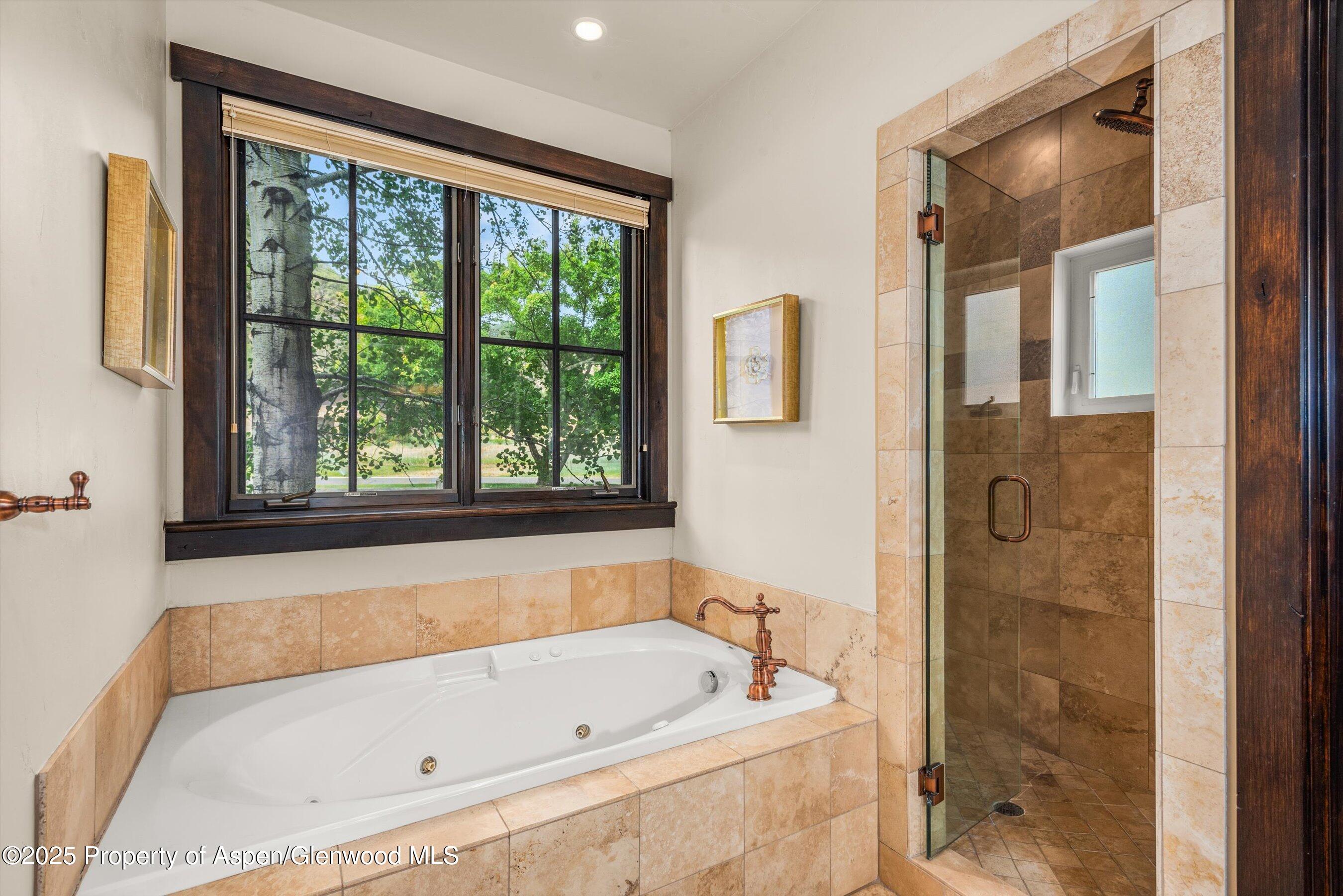 10 Patterson Drive Carbondale CO 81623