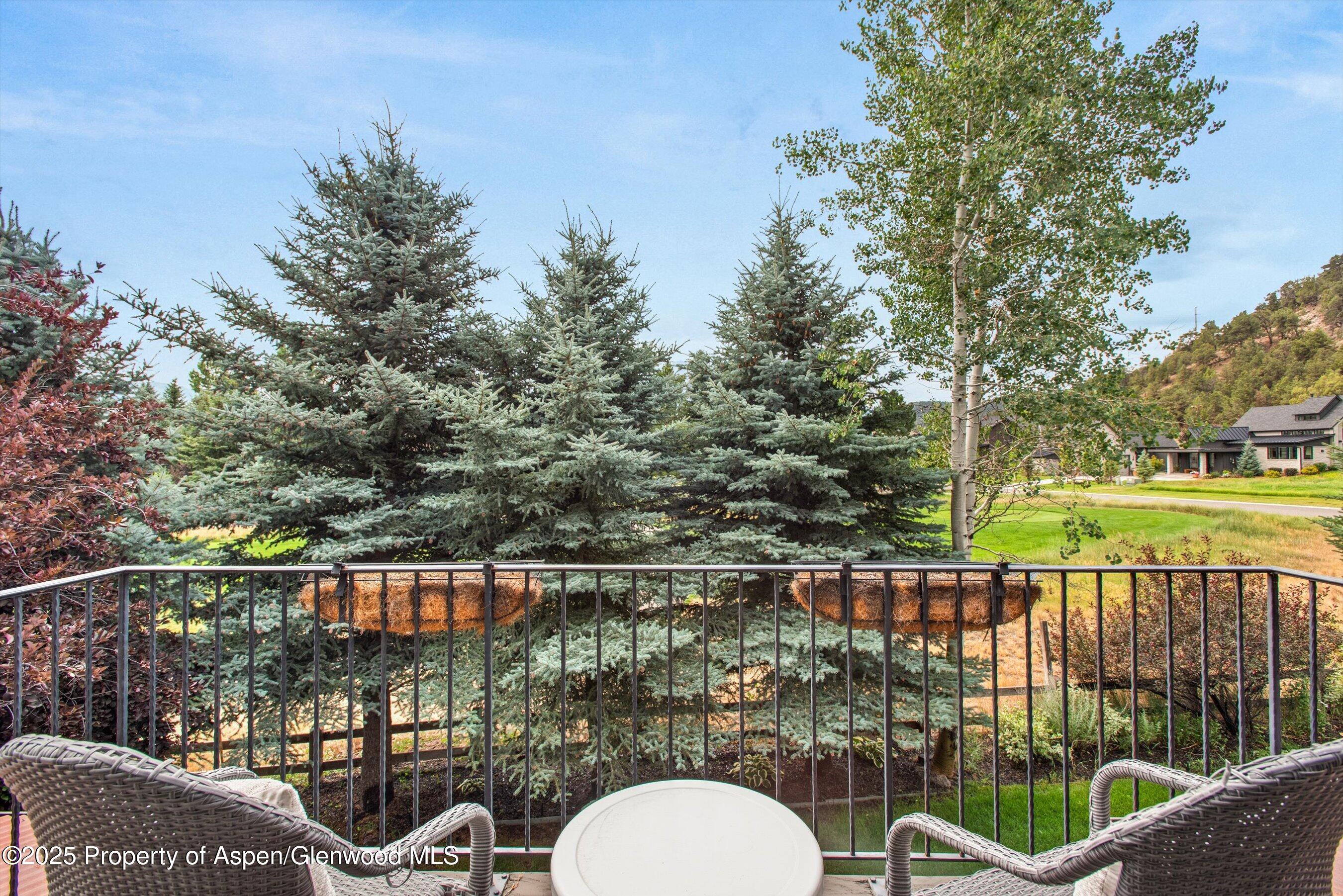 10 Patterson Drive Carbondale CO 81623